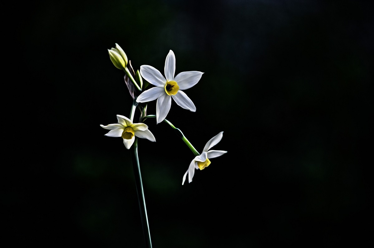 nature's magnificence