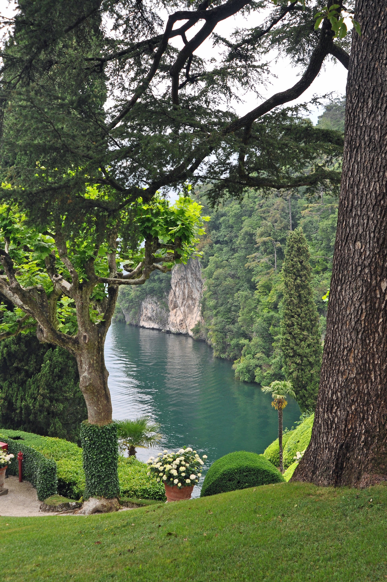 Little corner of the lake