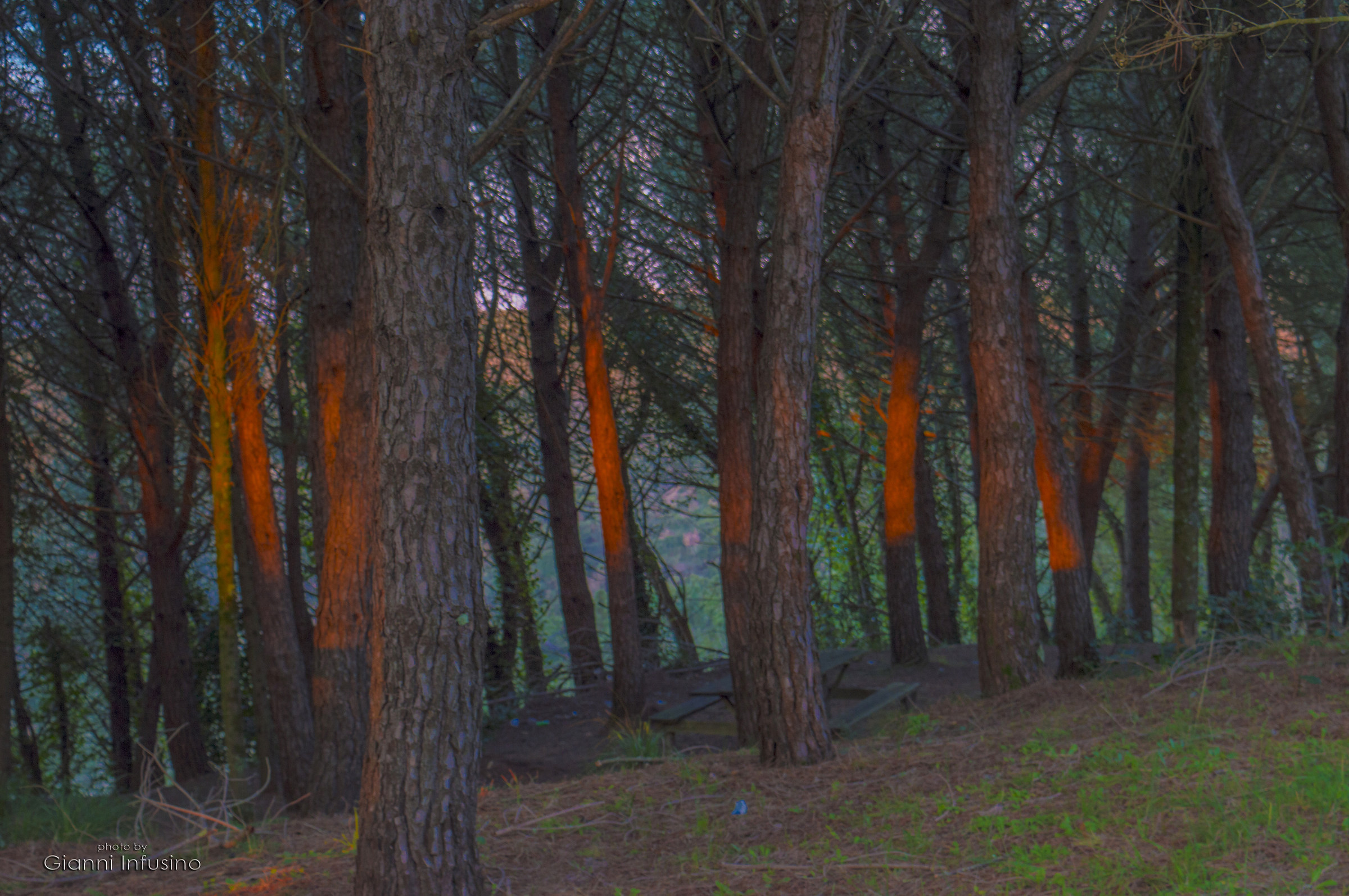 Luce filtrante al tramonto