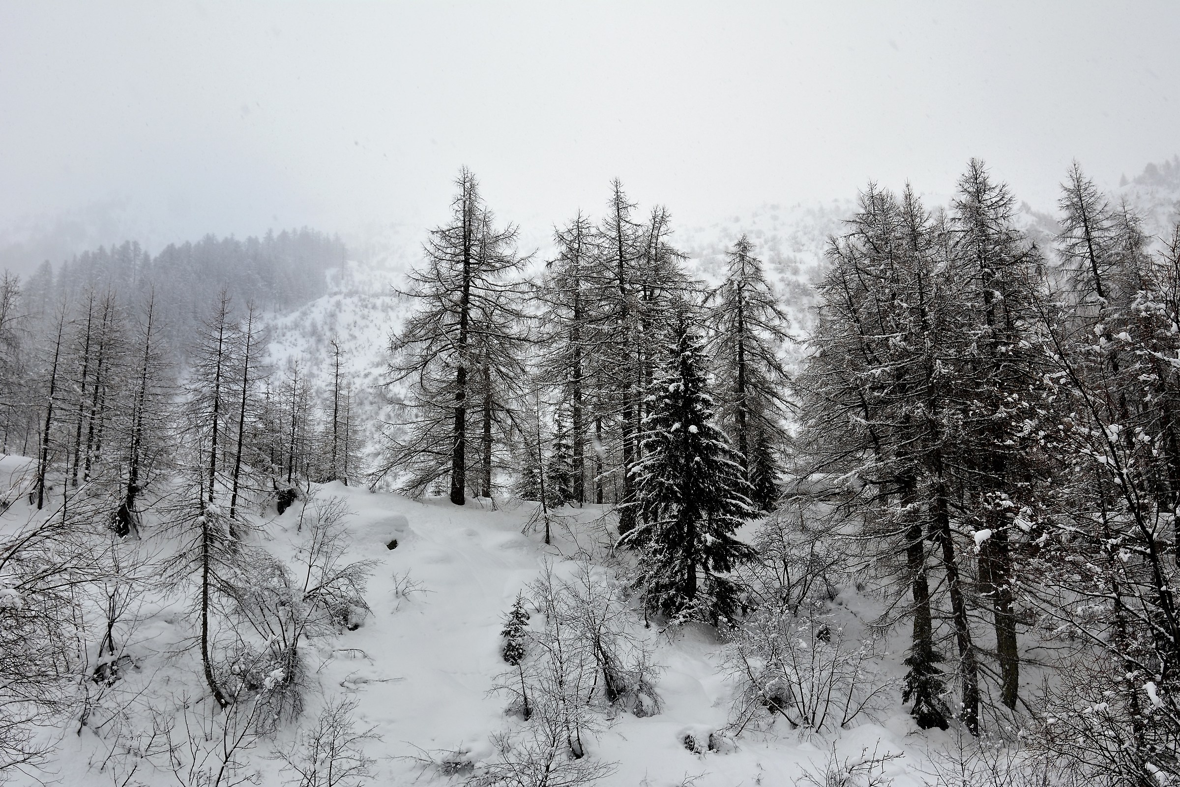 Neve in Val Ferret