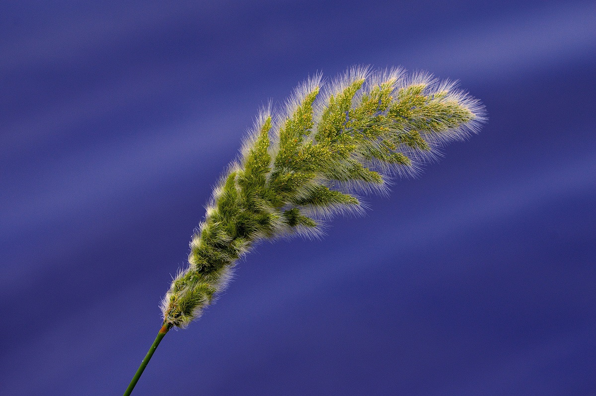 nature's magnificence