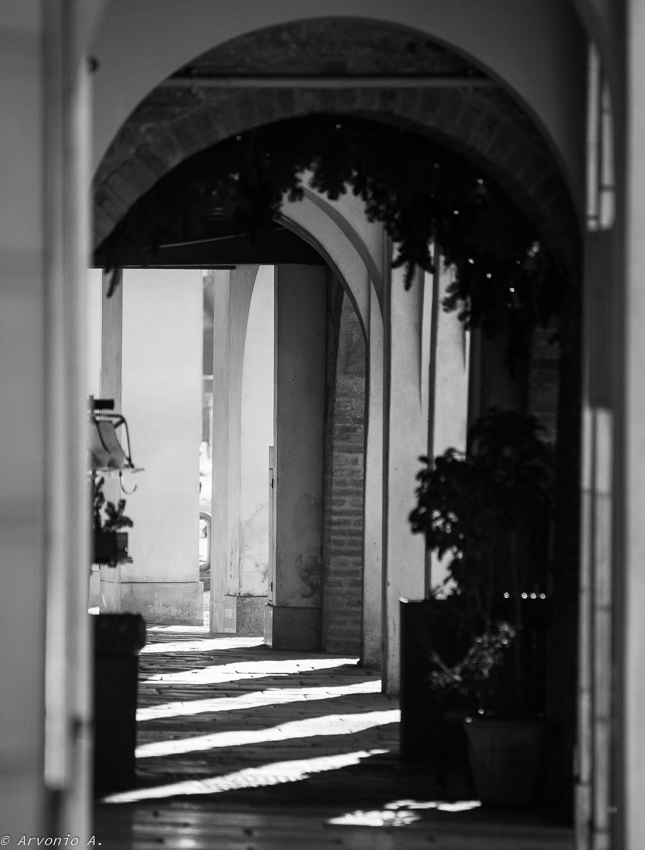 Ombre e luci trevigiane