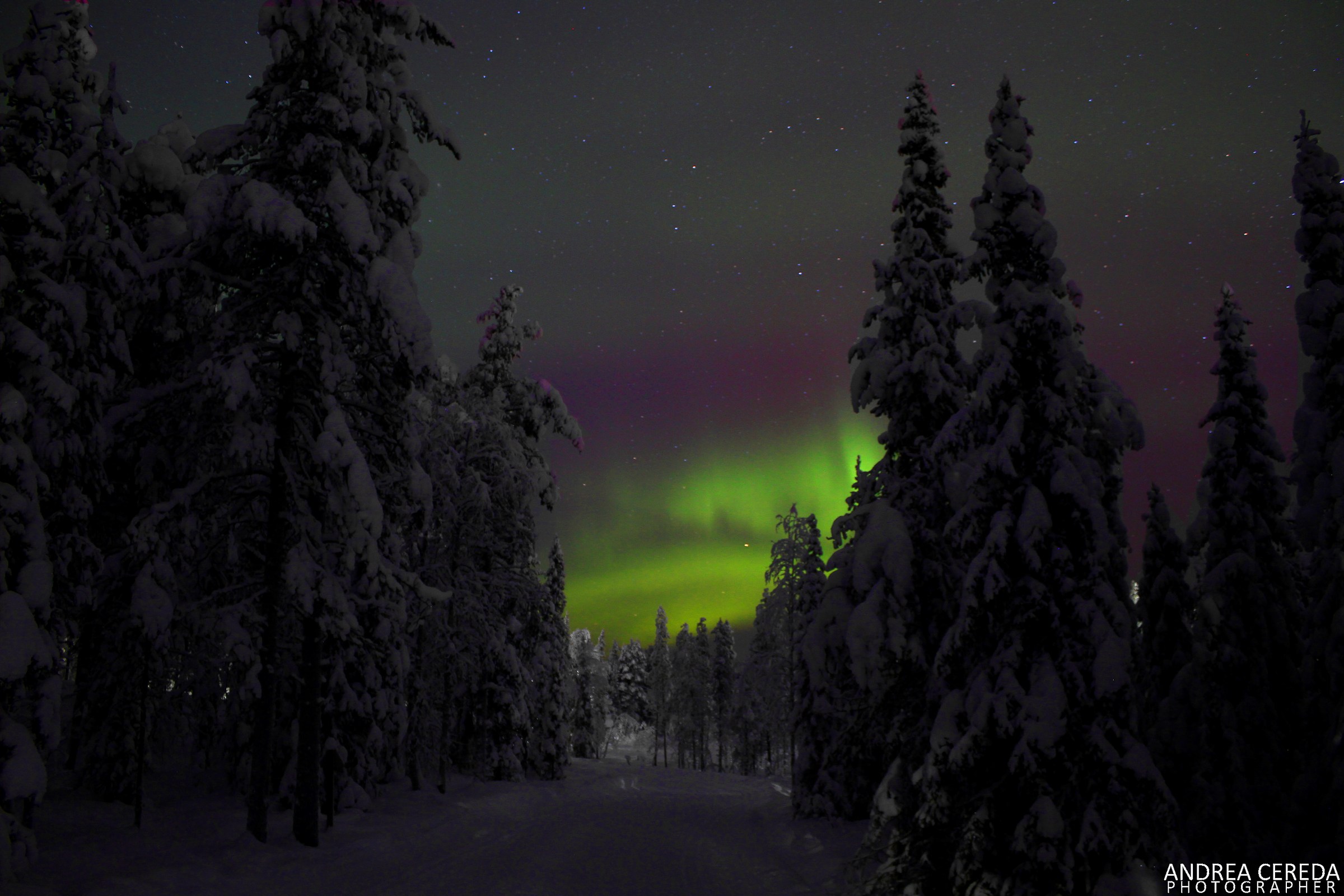 Northern lights