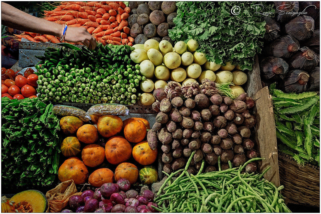 United Colours of Srilanka