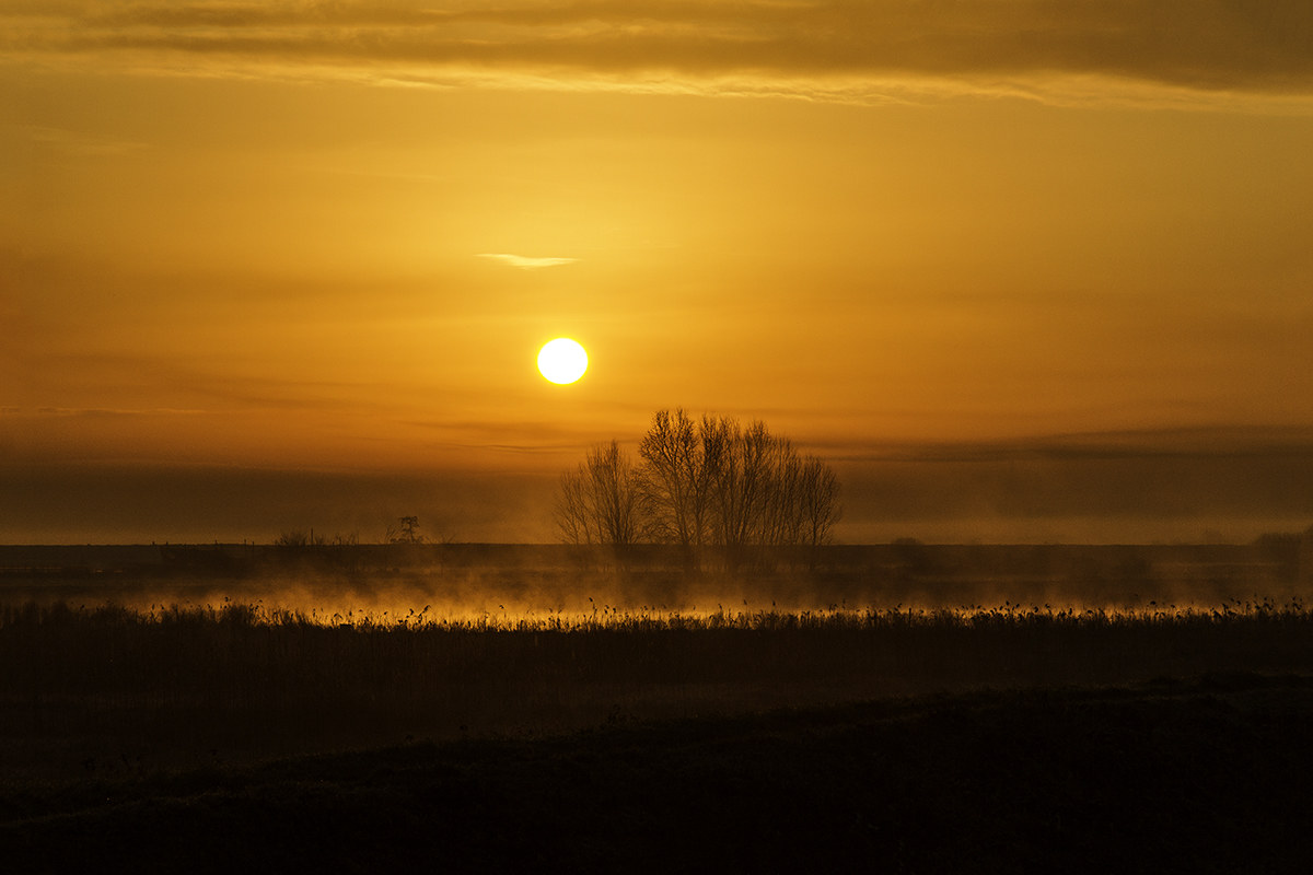 ...Alba nel padule di Bientina...