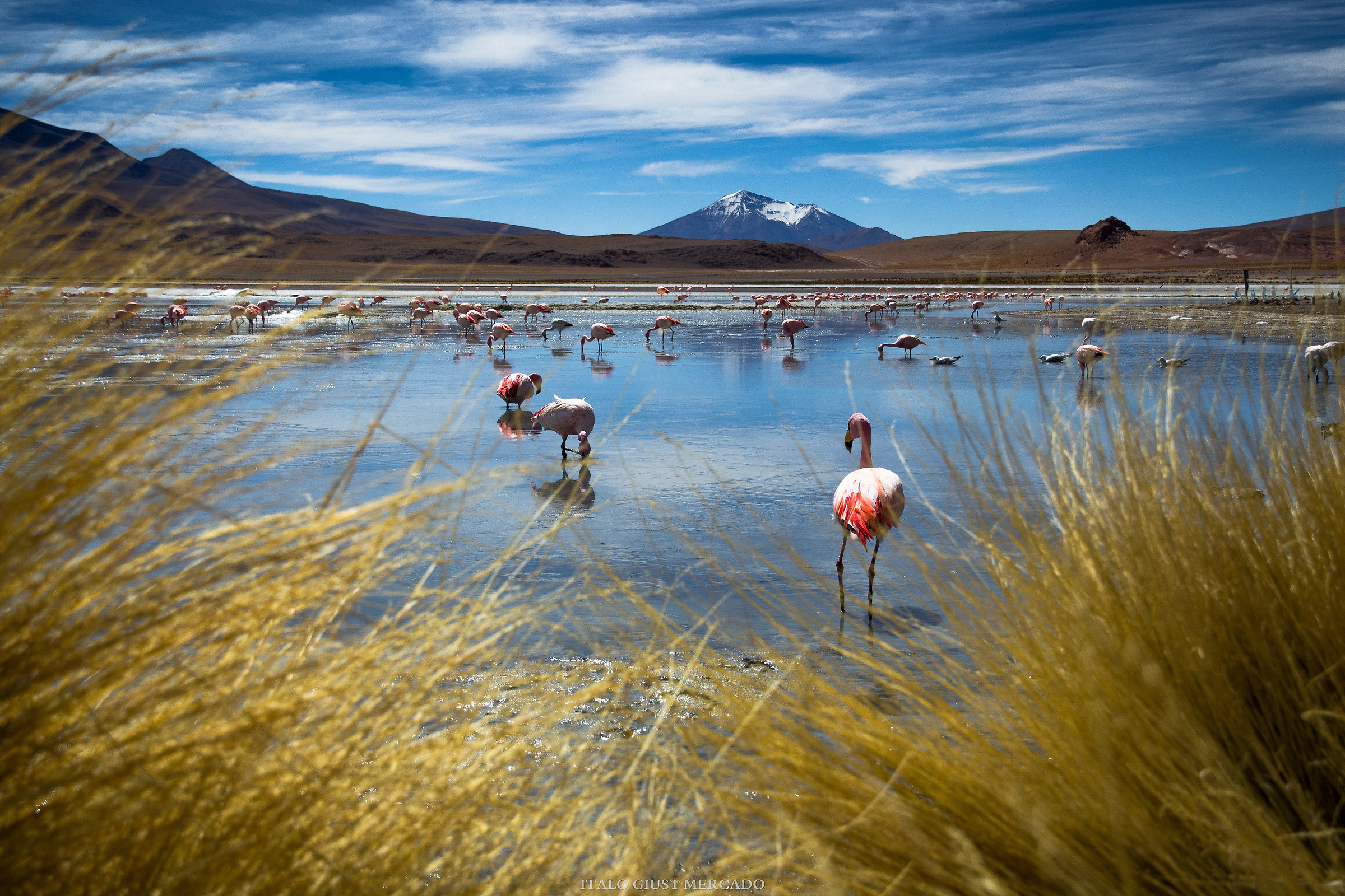 Avvicinarsi di Nascosto