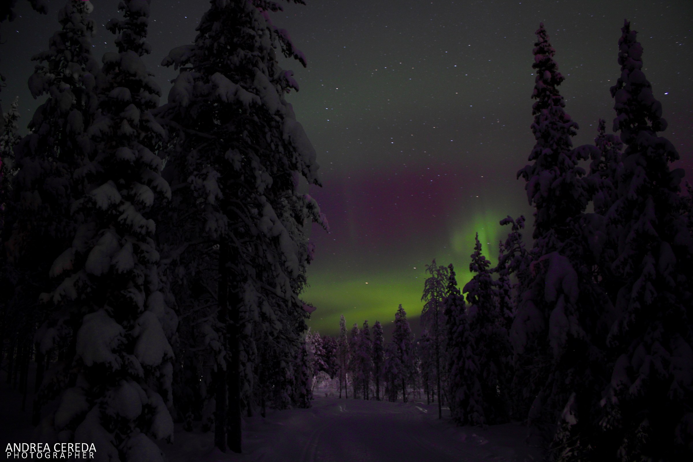 Northern lights