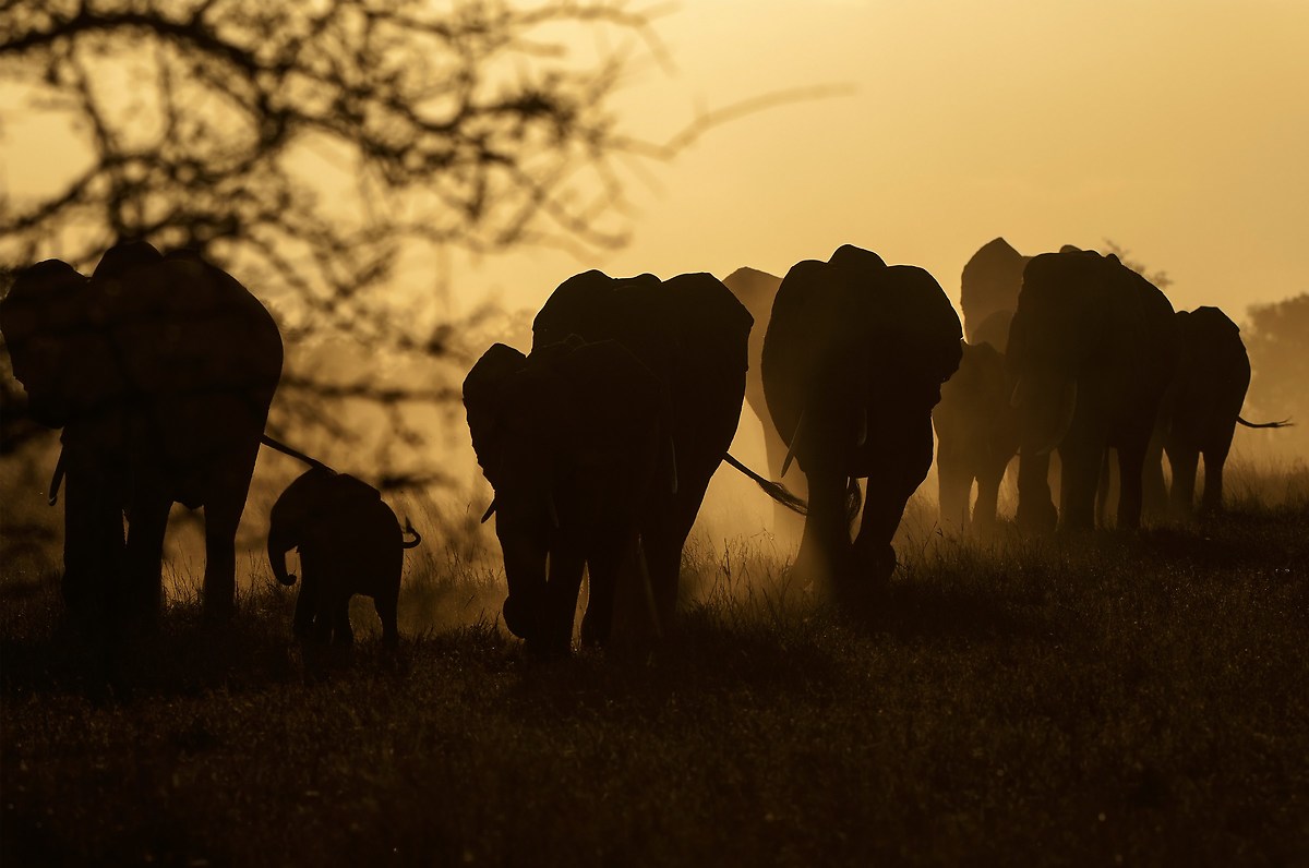 Sunset Hills to Taitha