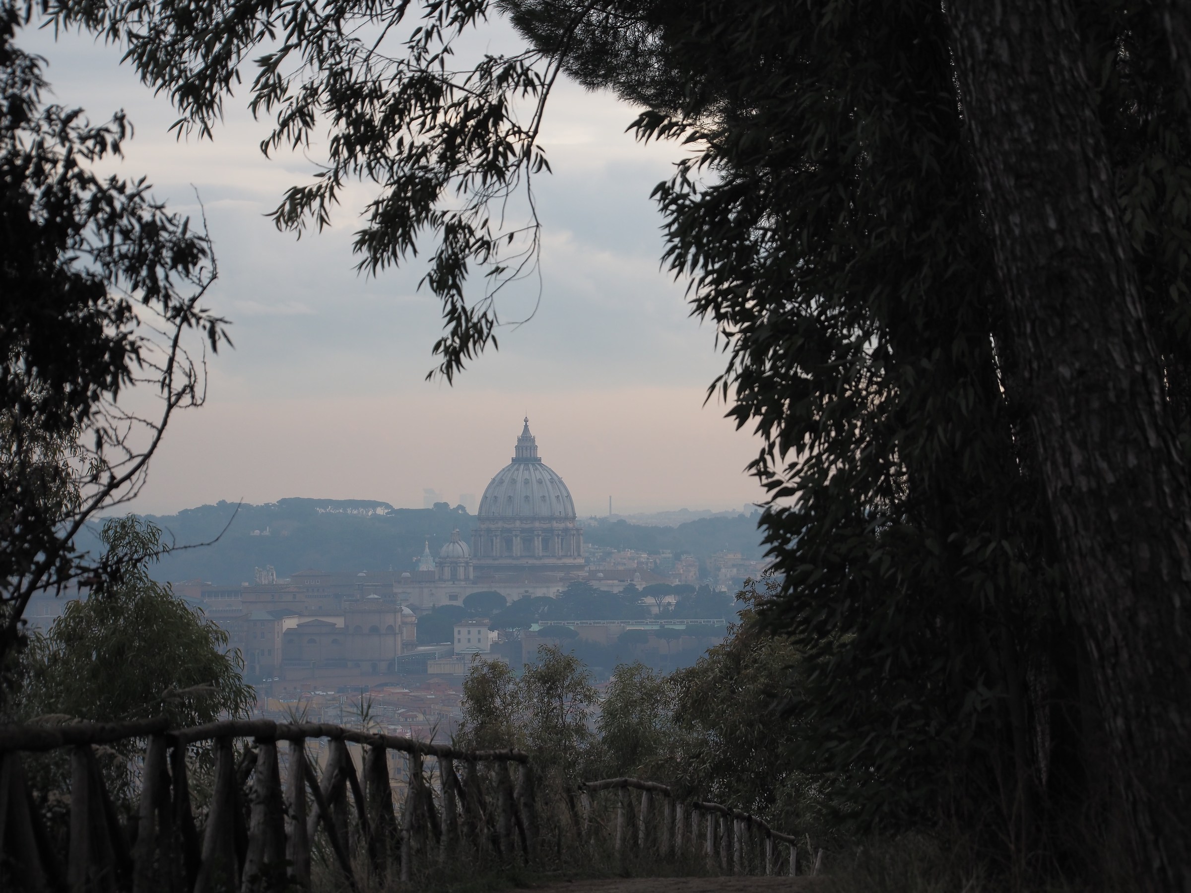 San Pietro visto da Monte Mario