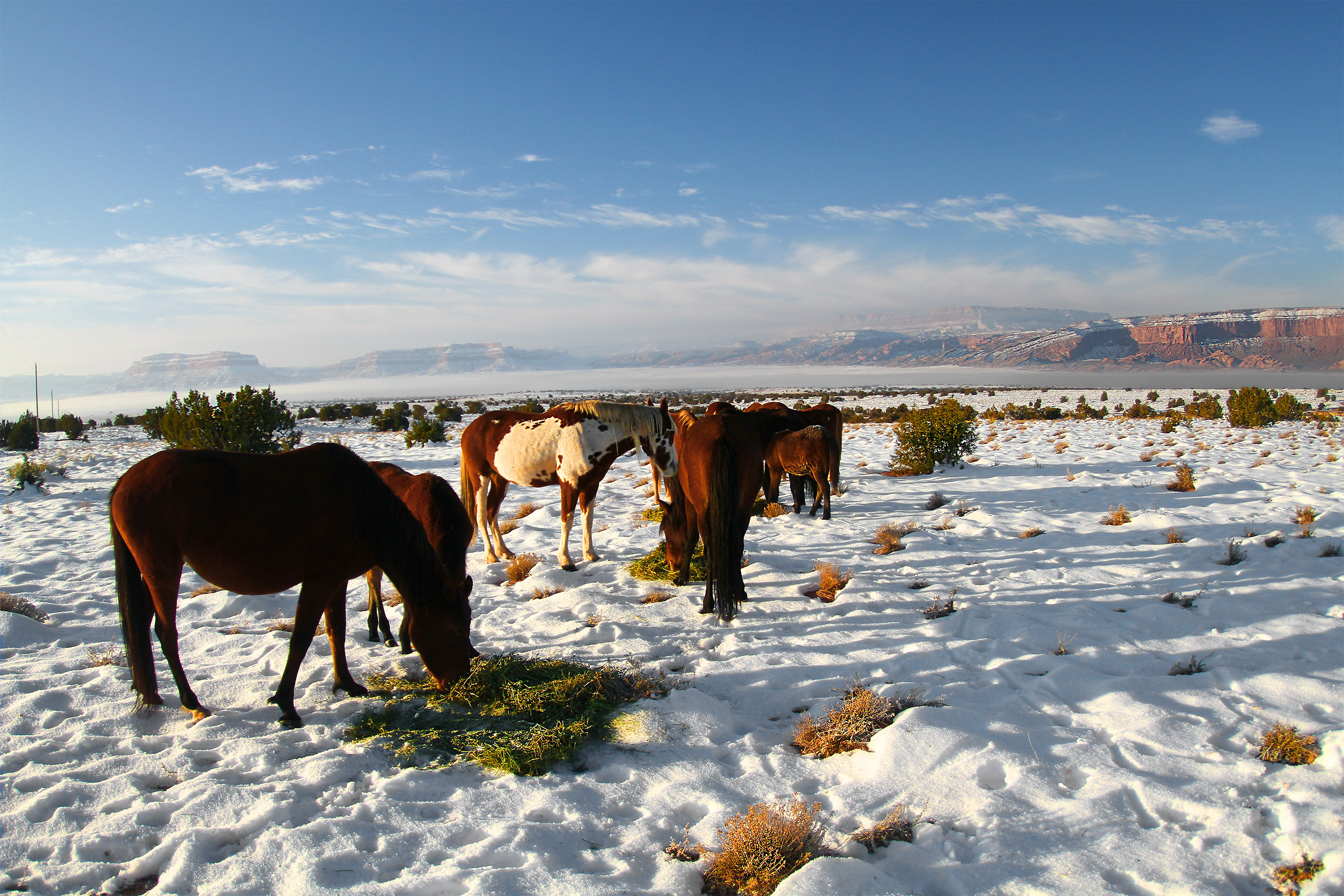 "Pasture in Moon Ranch - Monument Valley"