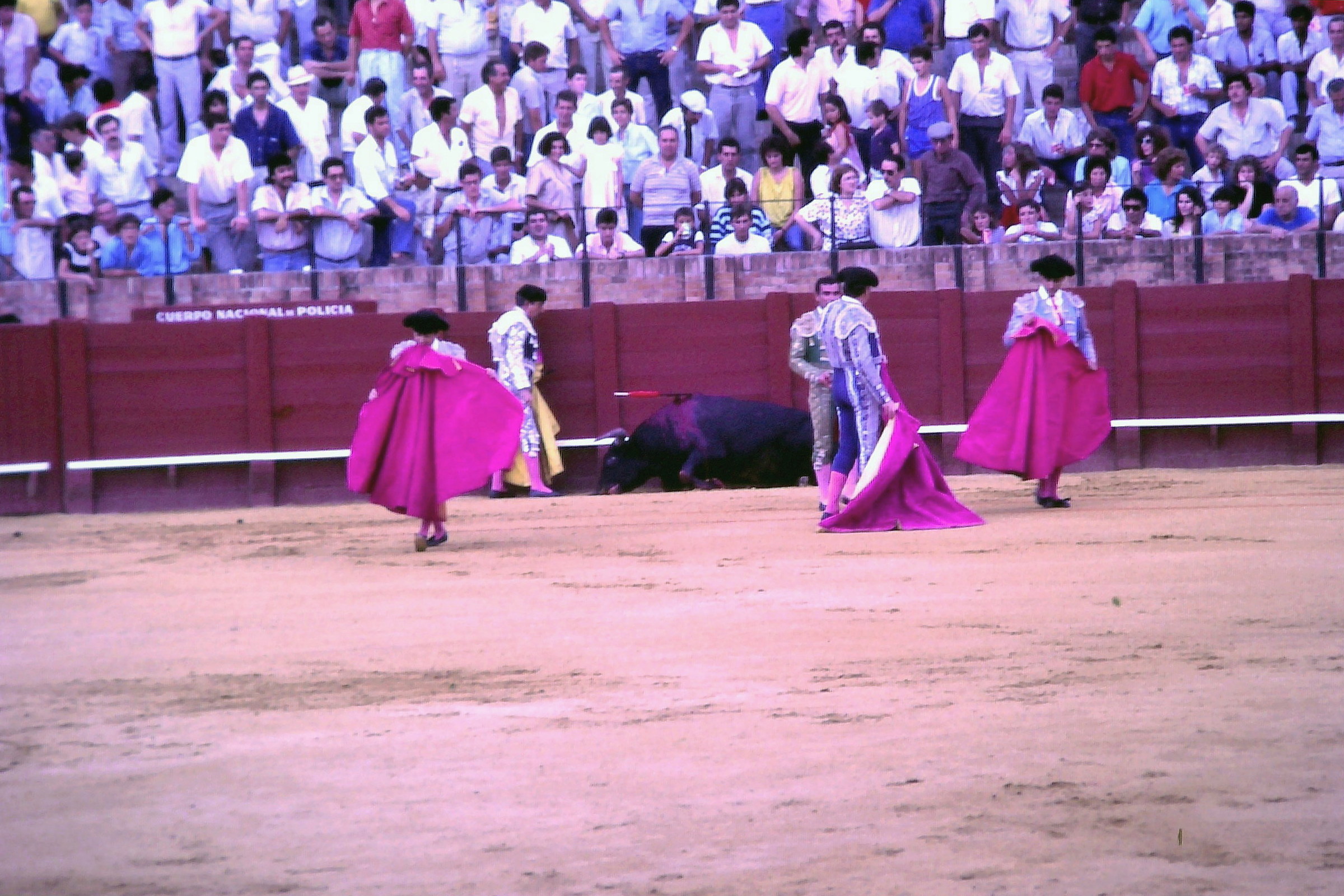 IL più stupido sport