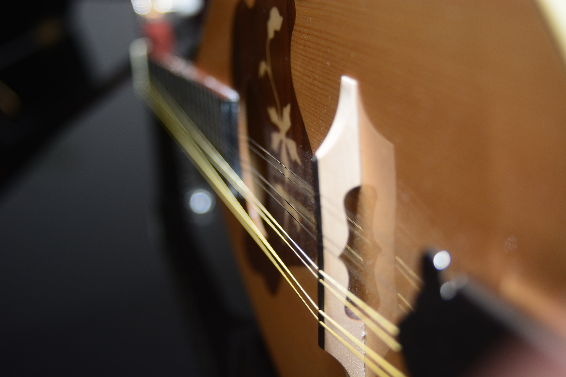 The magnificent mandolin ..