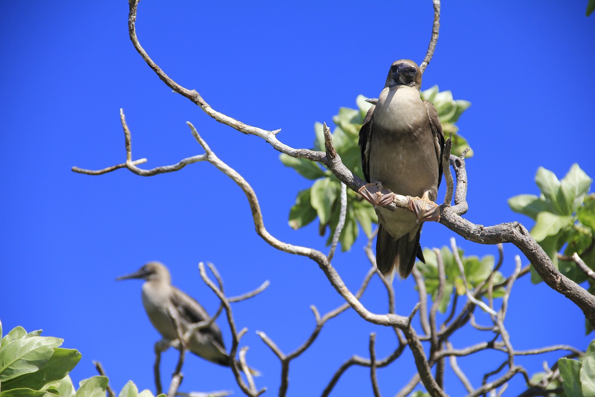 io quassù e tu laggiù...