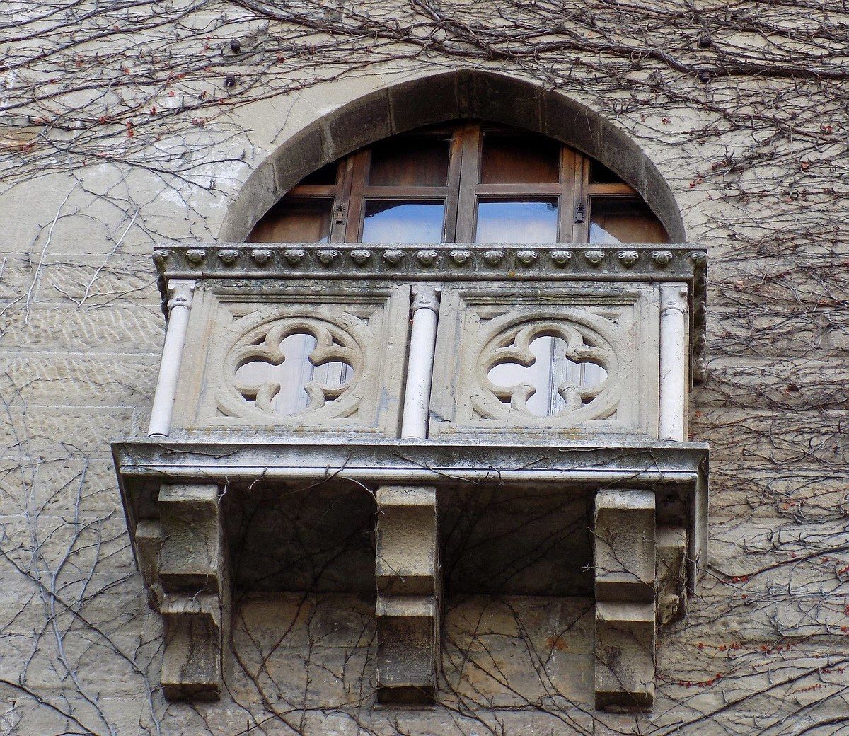 Tagliolo Castle (al)