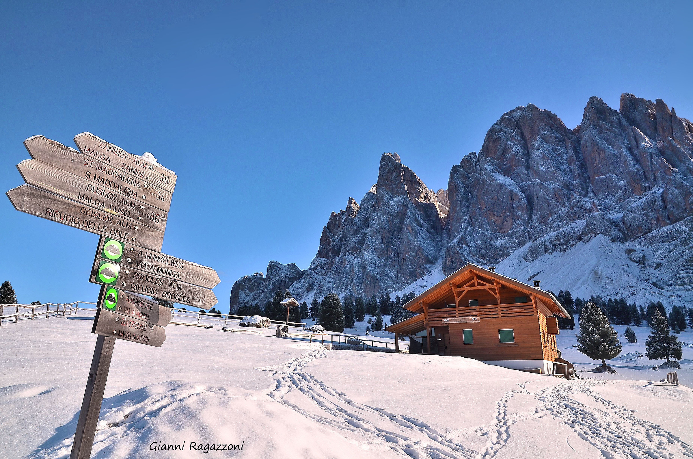 Pasture Geisler Tour