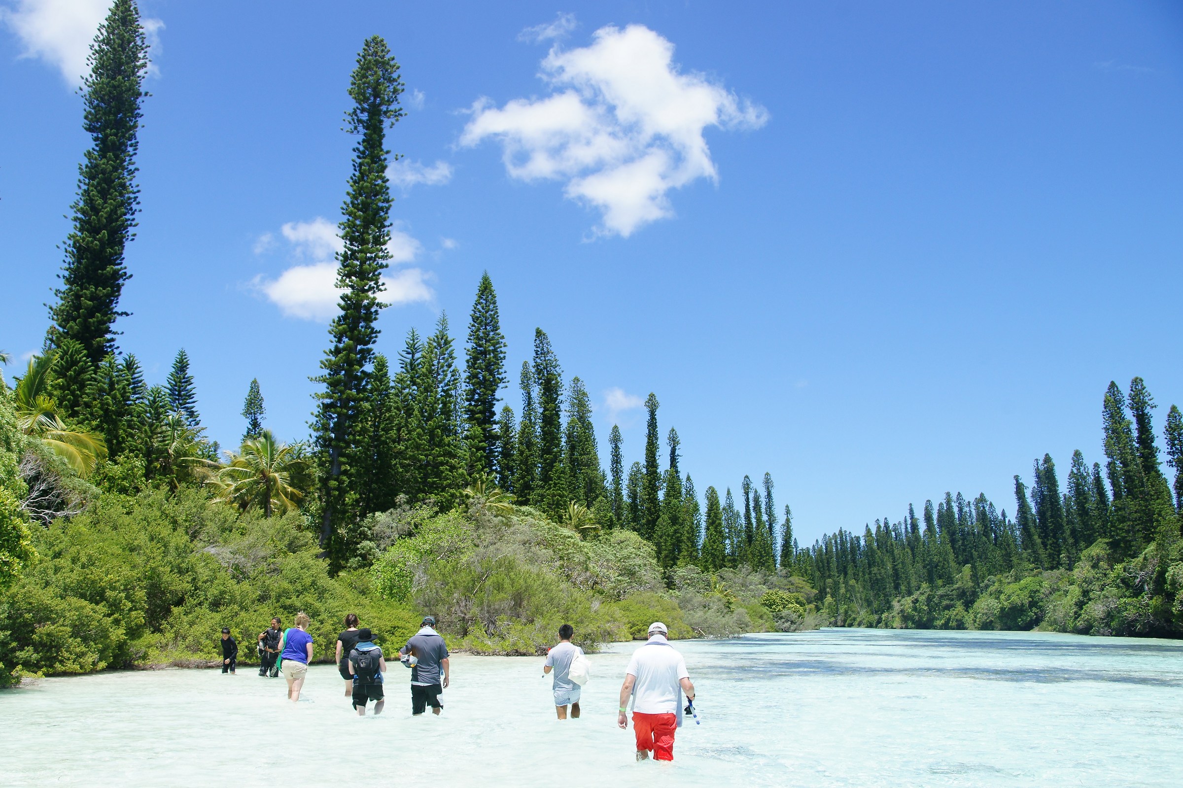 le piscine naturali all'Isola dei Pini, Nuova Caledonia