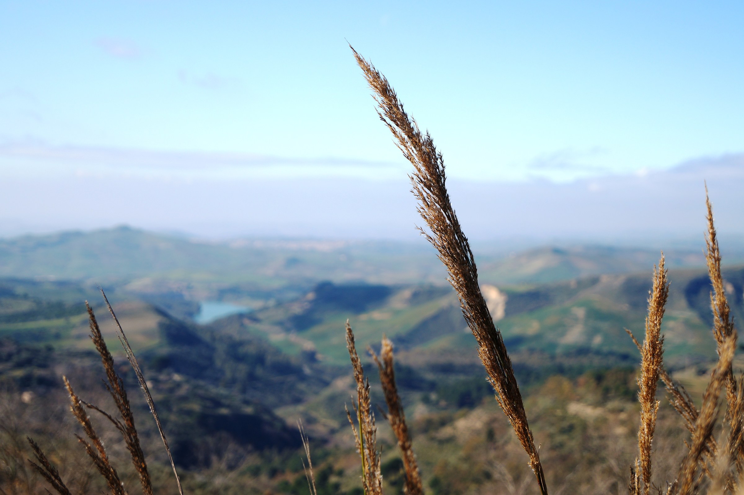 Vallegrande 2, Piazza Armerina.