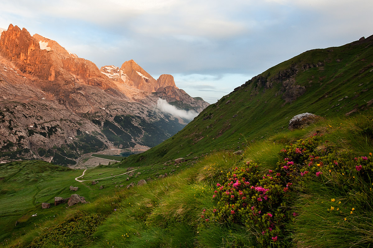I colori dell'estate