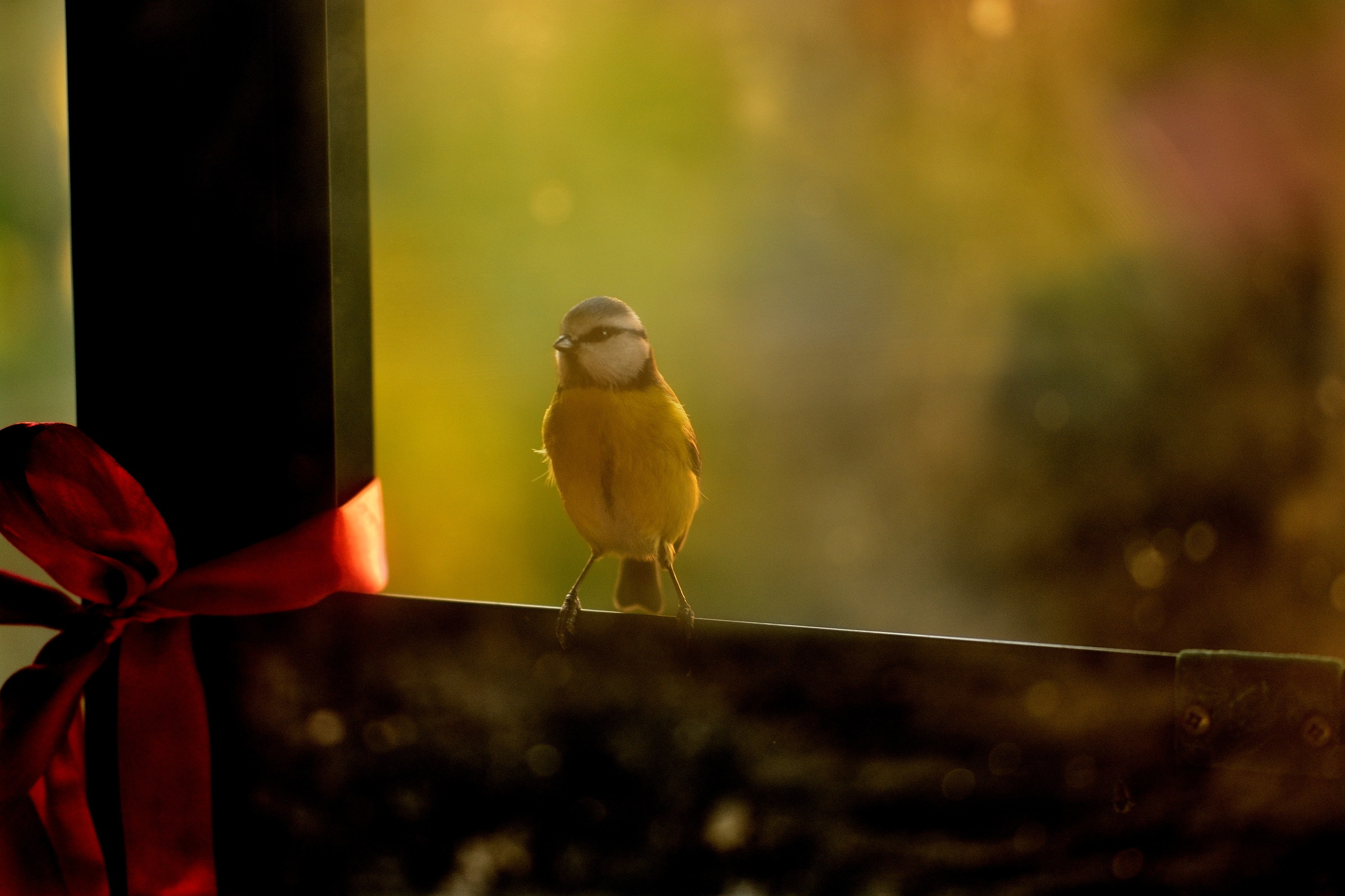 il buon giorno si vede dal mattino