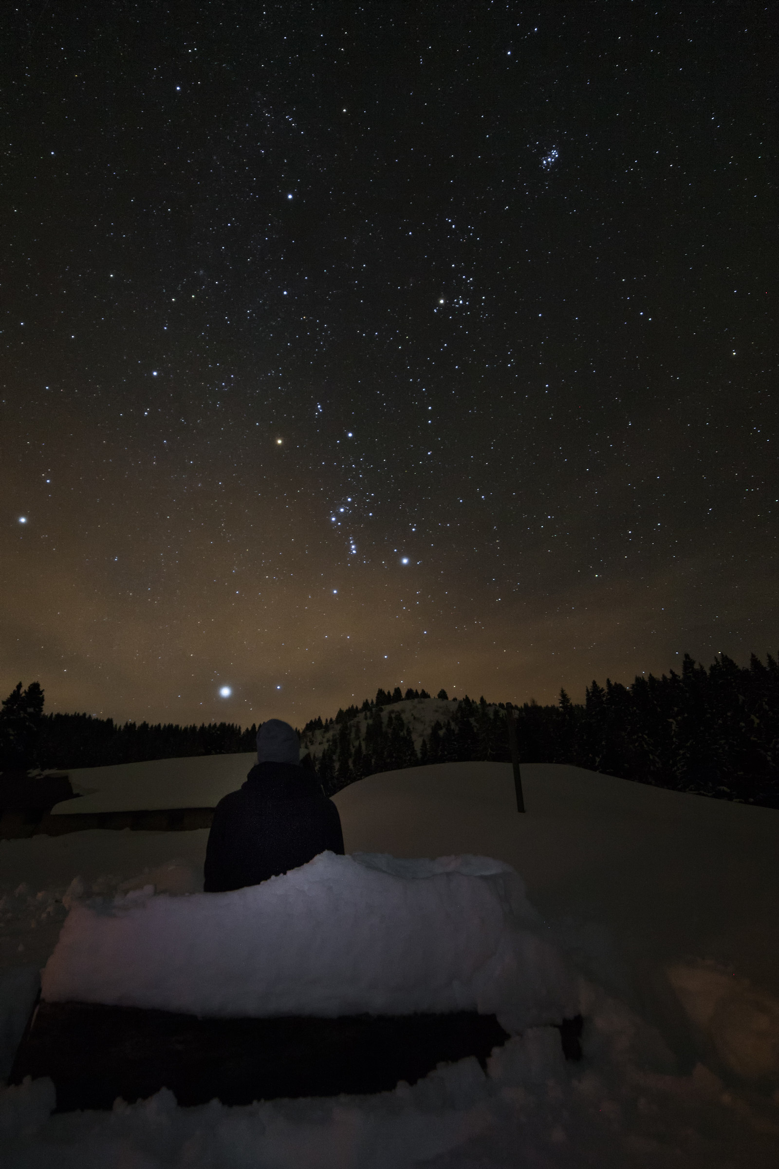 Contemplating the sky