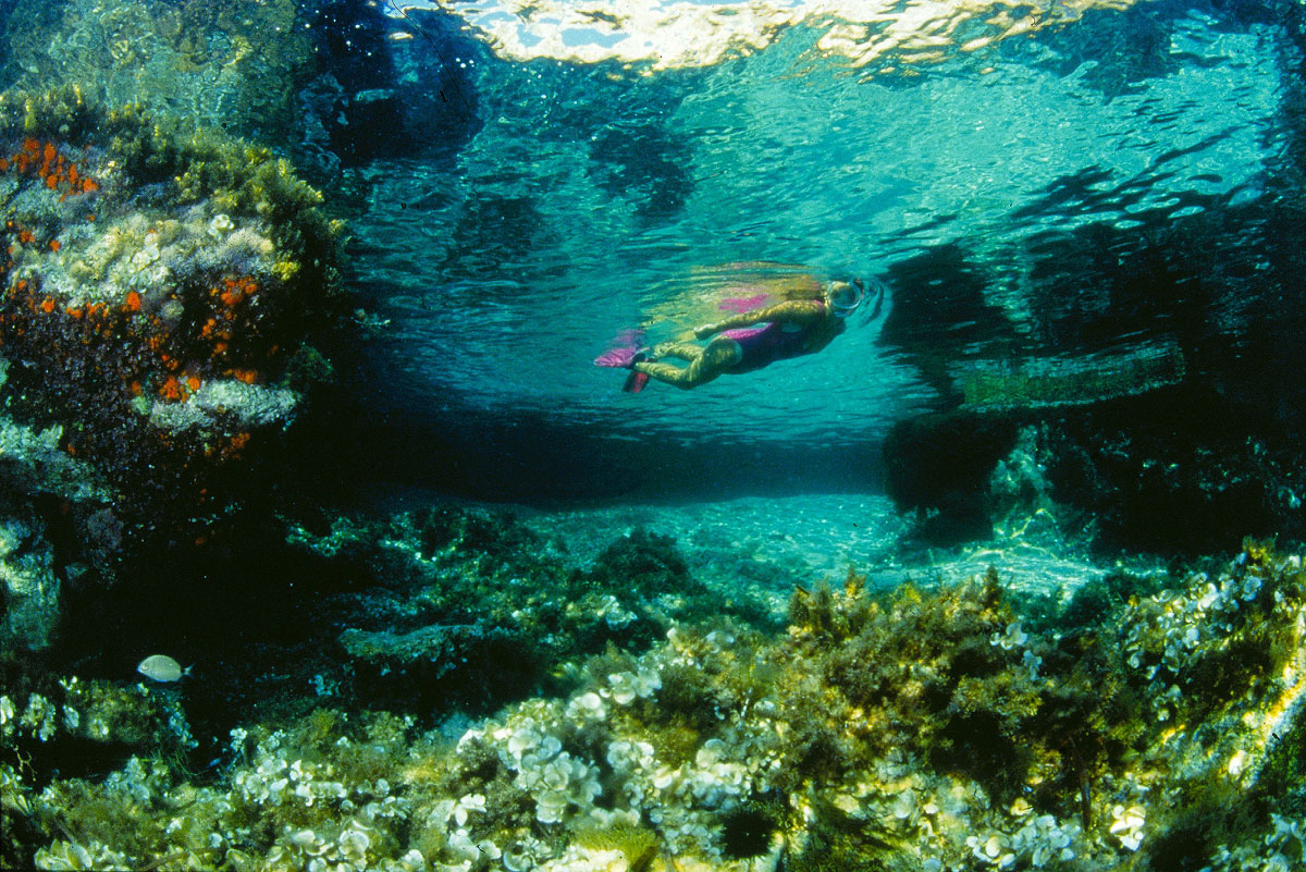 environment honeycomb