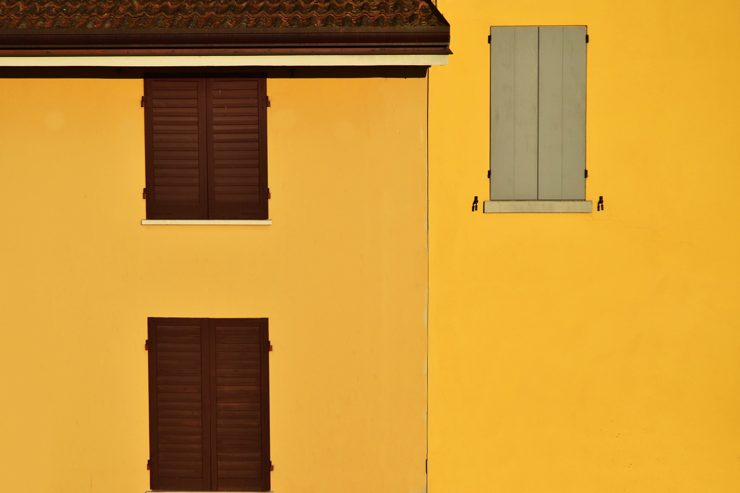 Lights and colors of the city '