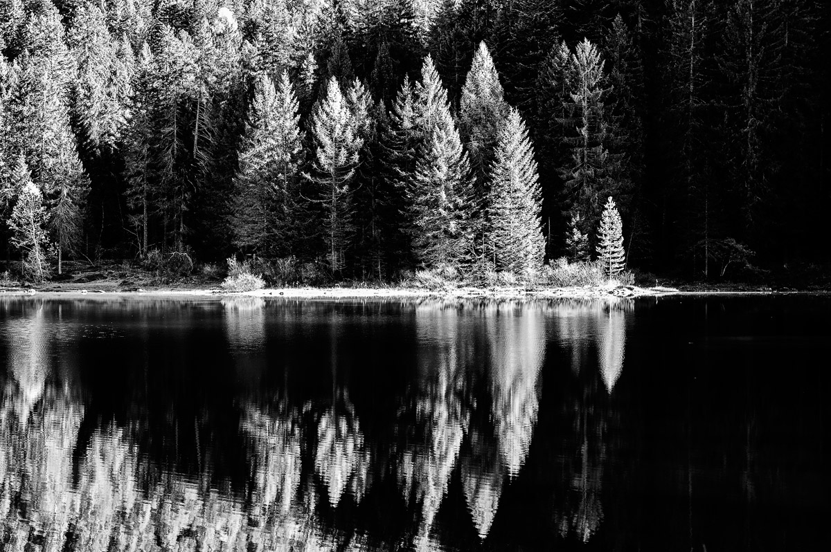 riflessi in b&w