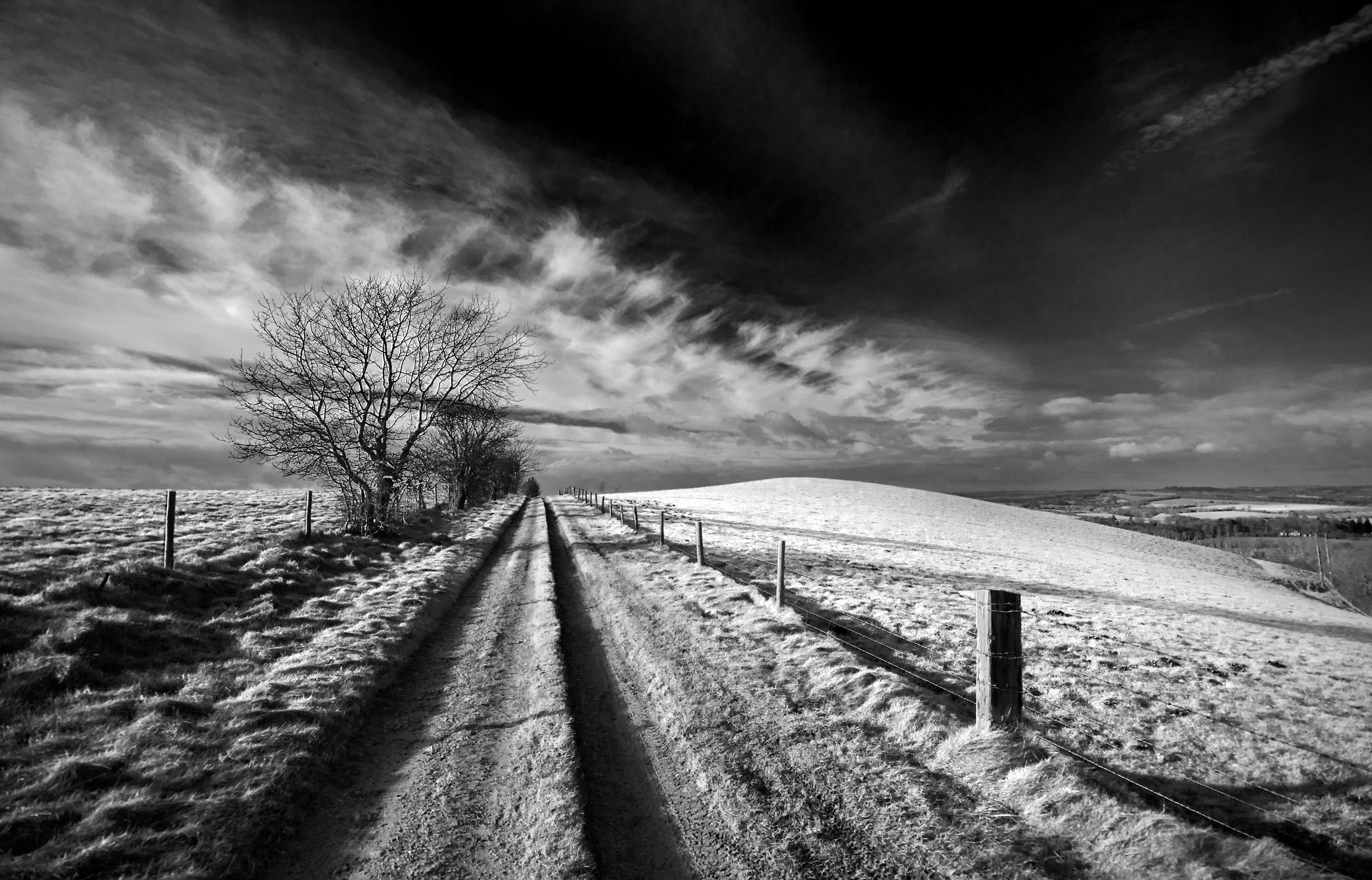 A Winter's Walk along the Ox Drove...