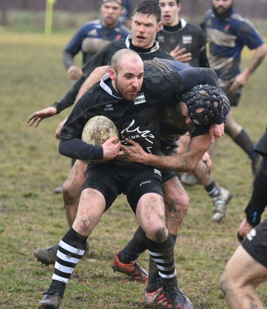 Da preda a predatore