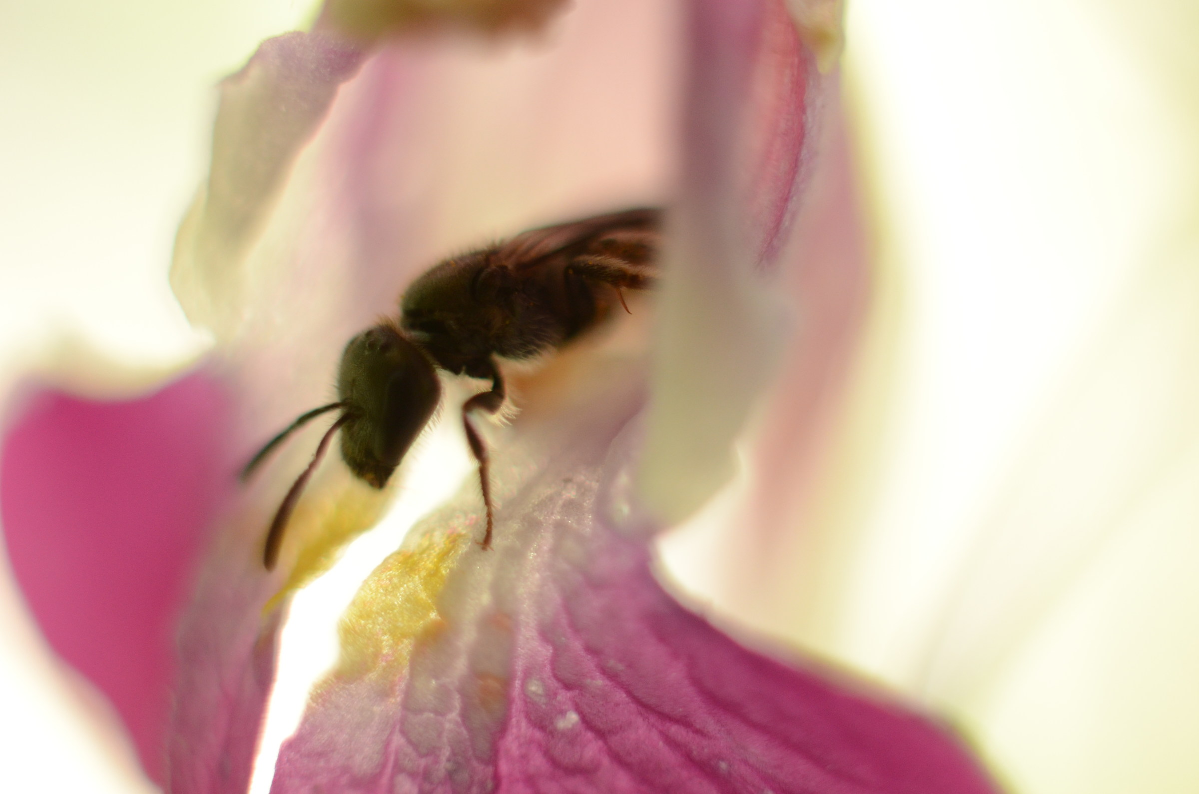 Oups, can't go back!