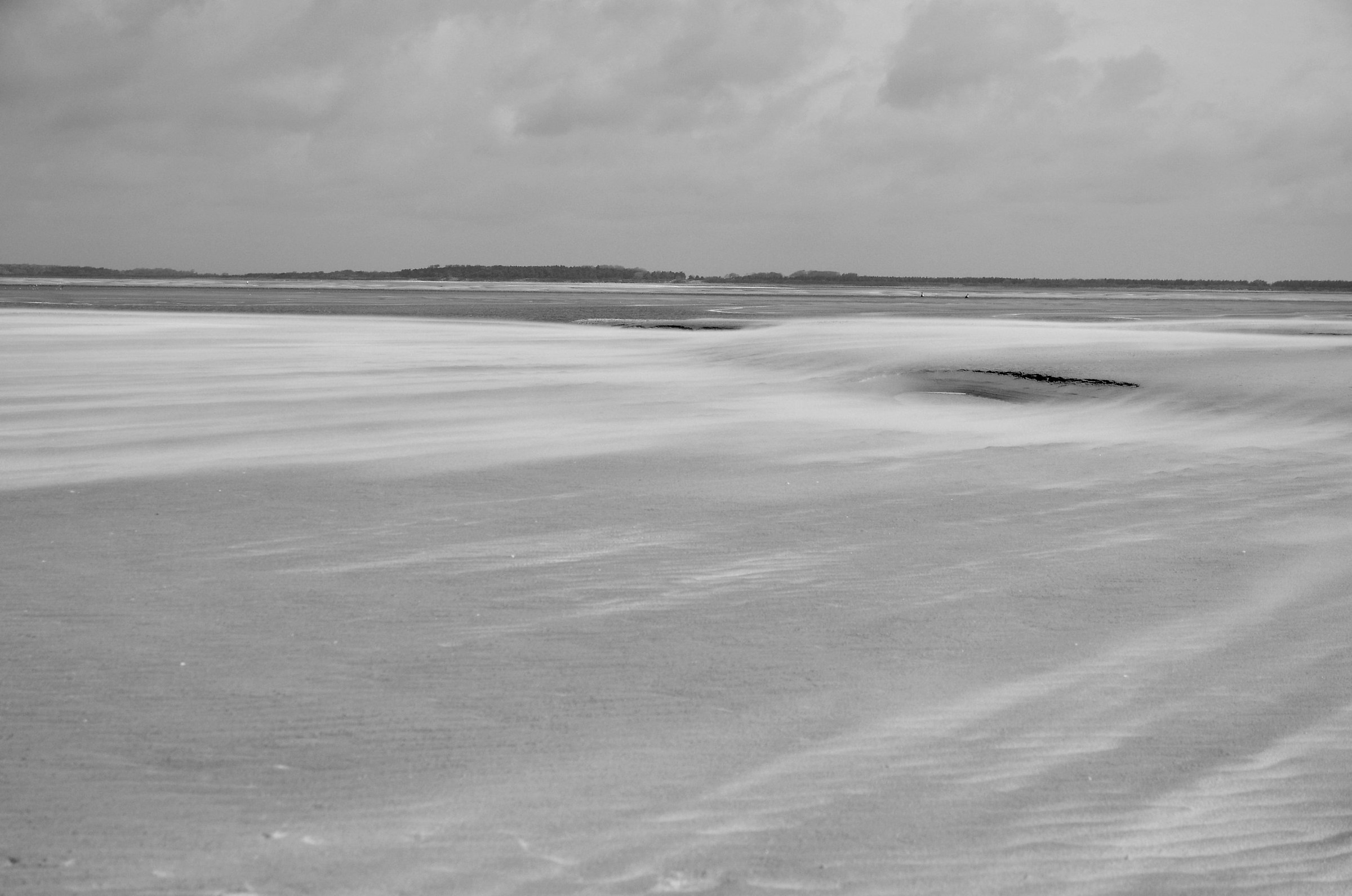 Baie de somme