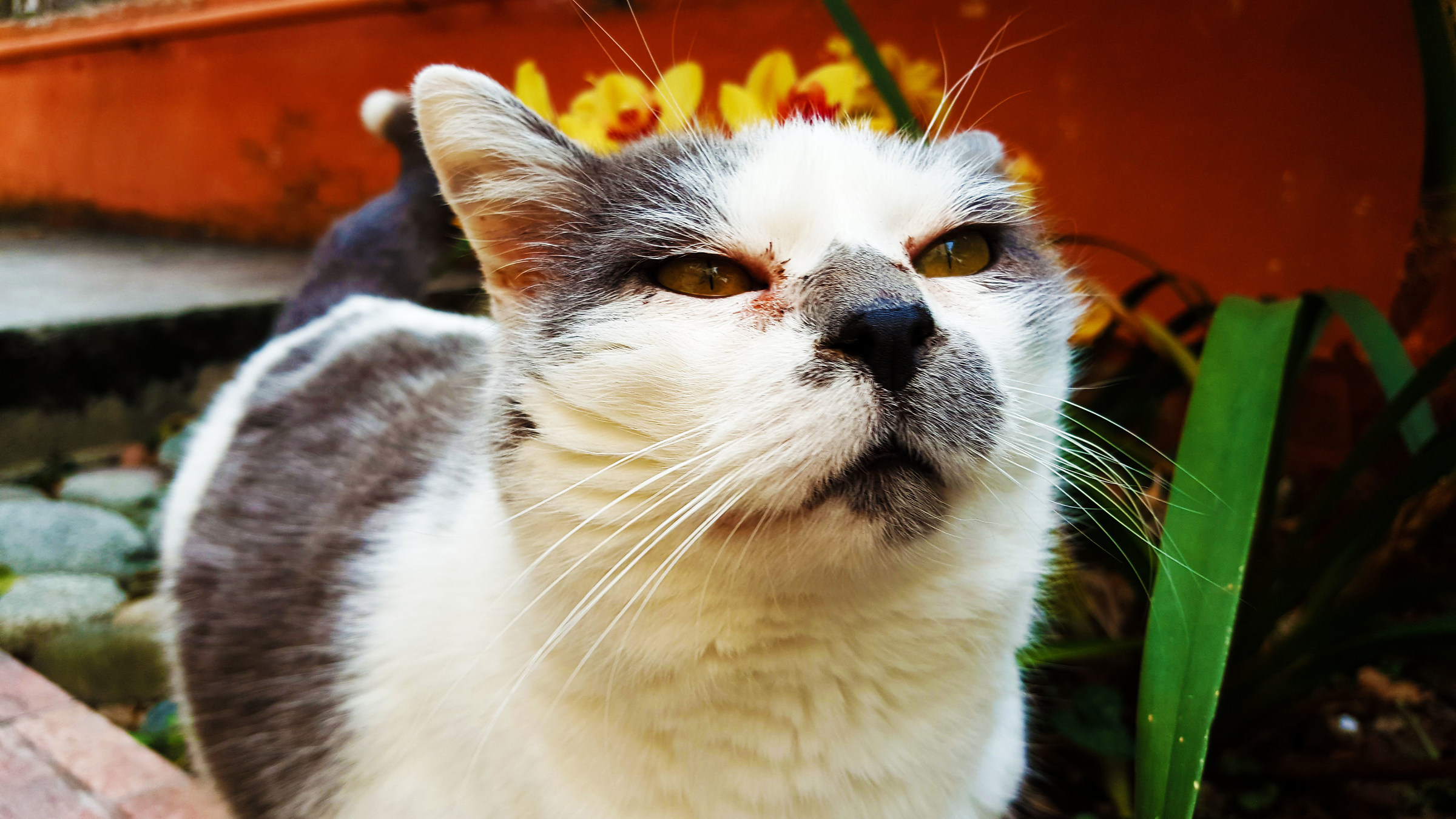 ma chi ti ha dato il permesso di fotografarmi?