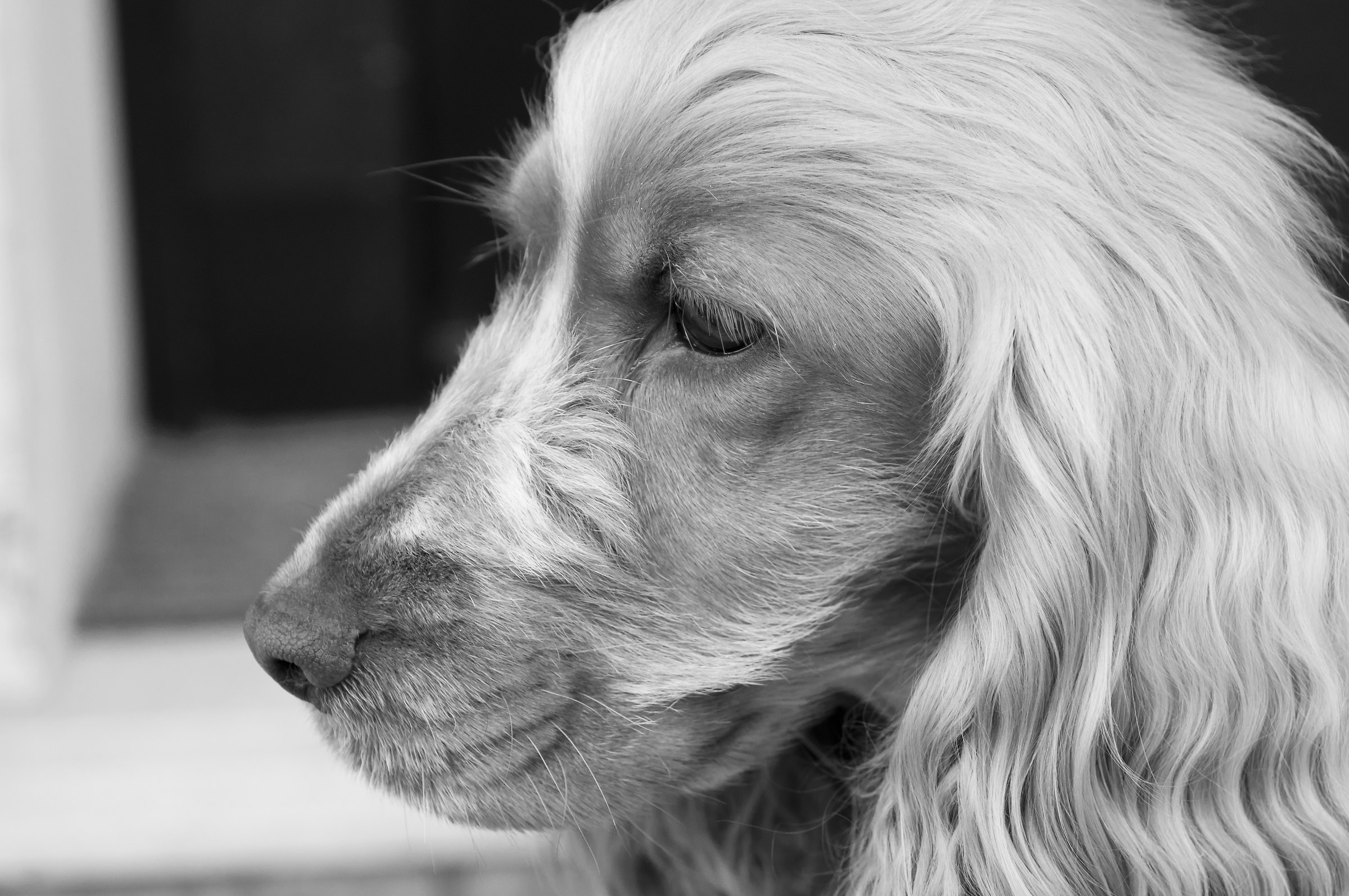 my best PROFILE
