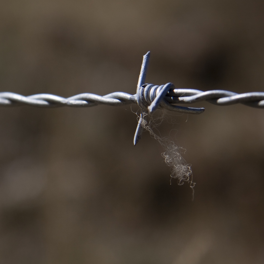 do not cross.....................