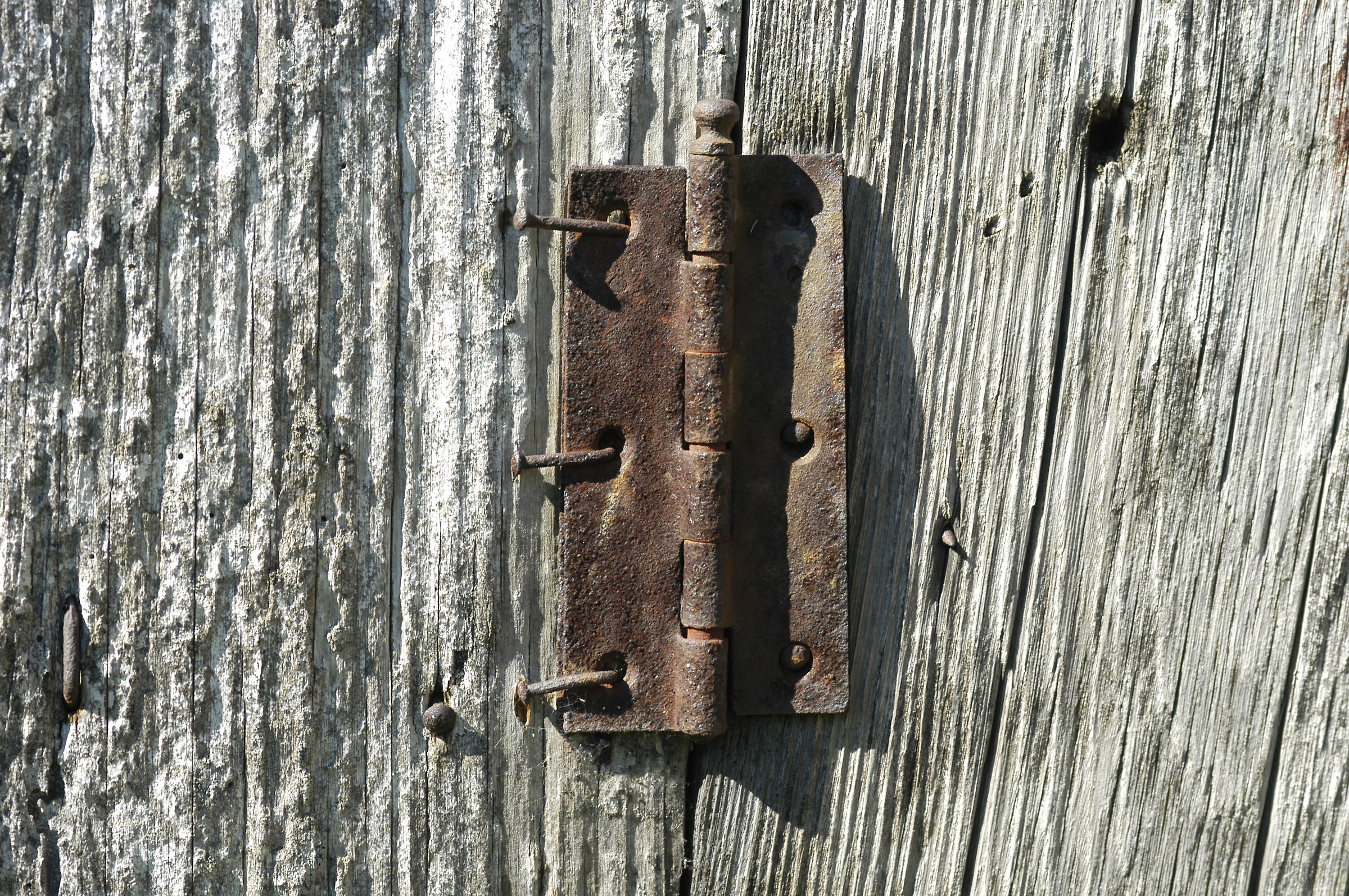 hinge