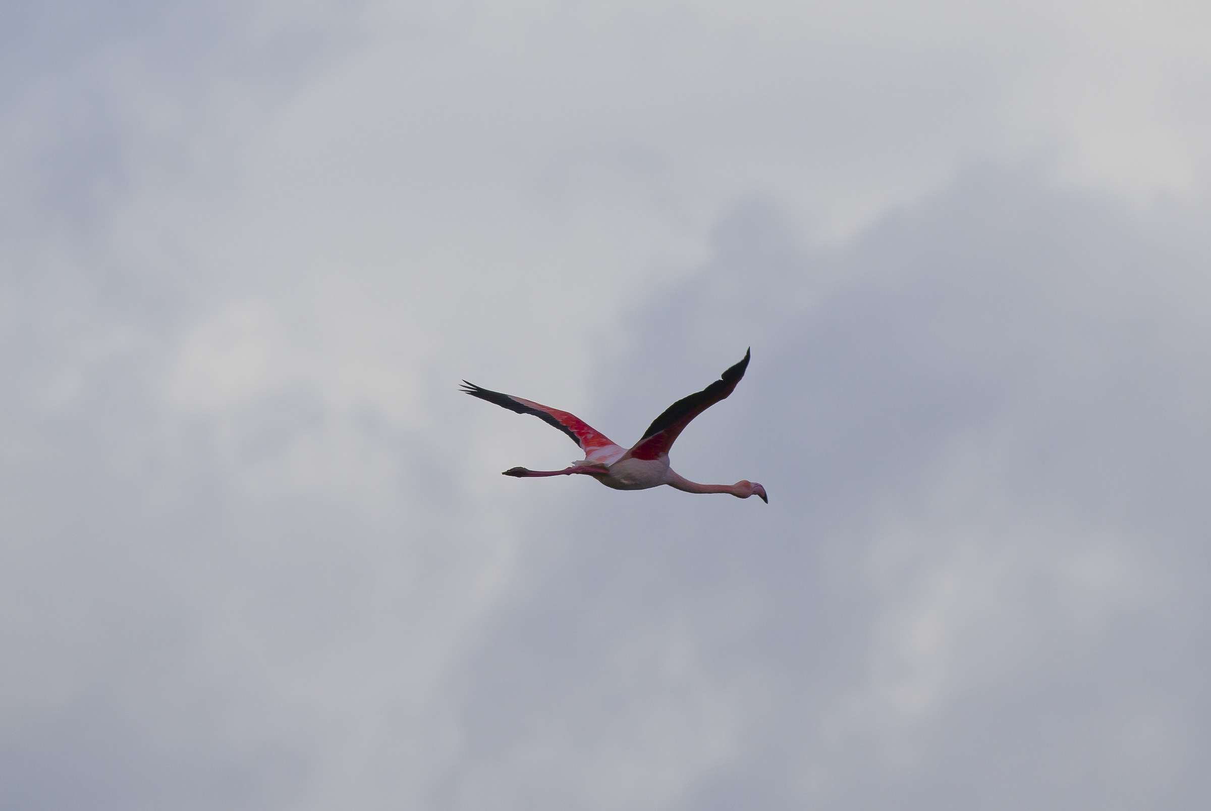 I go away ... far away