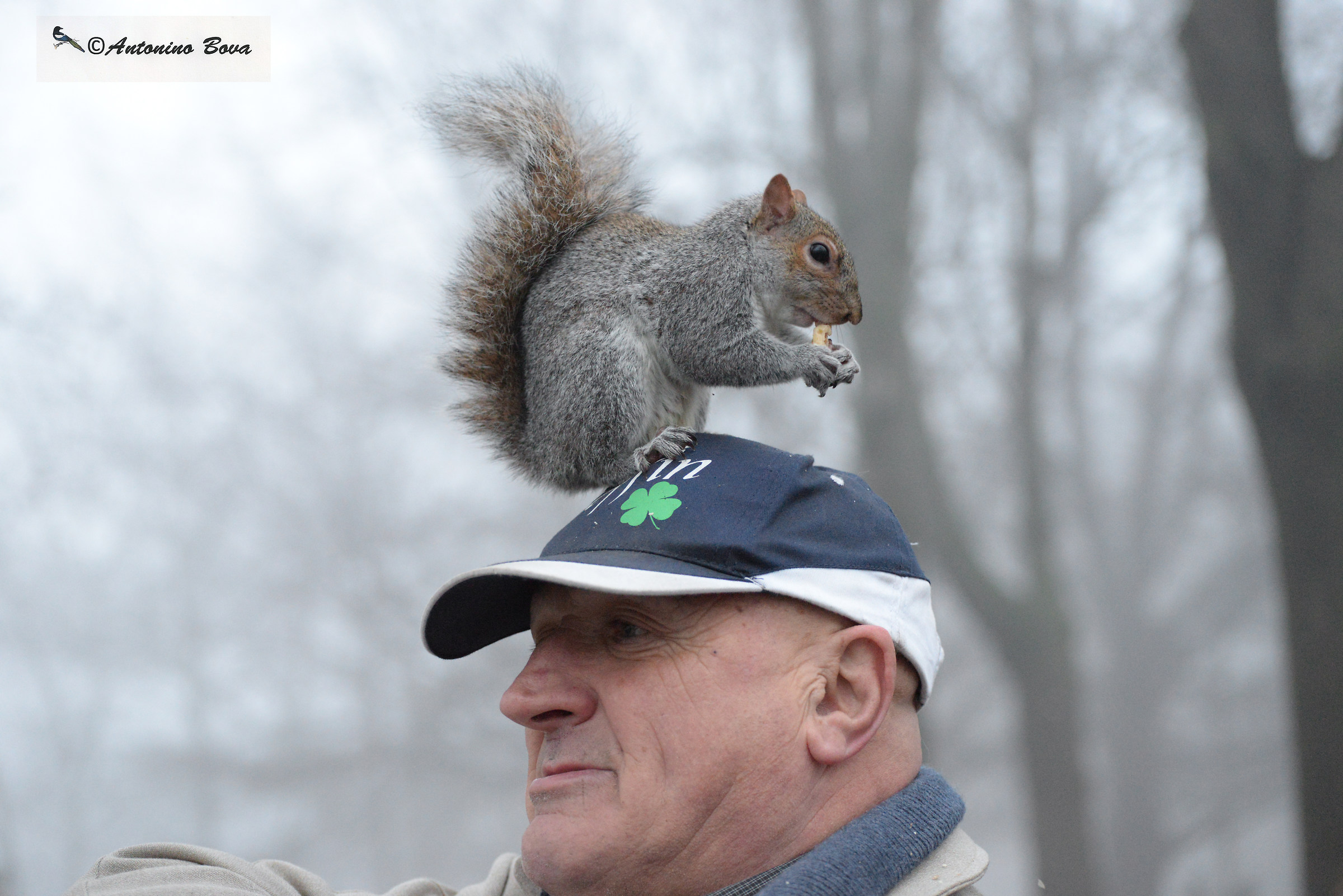 The friend of squirrels