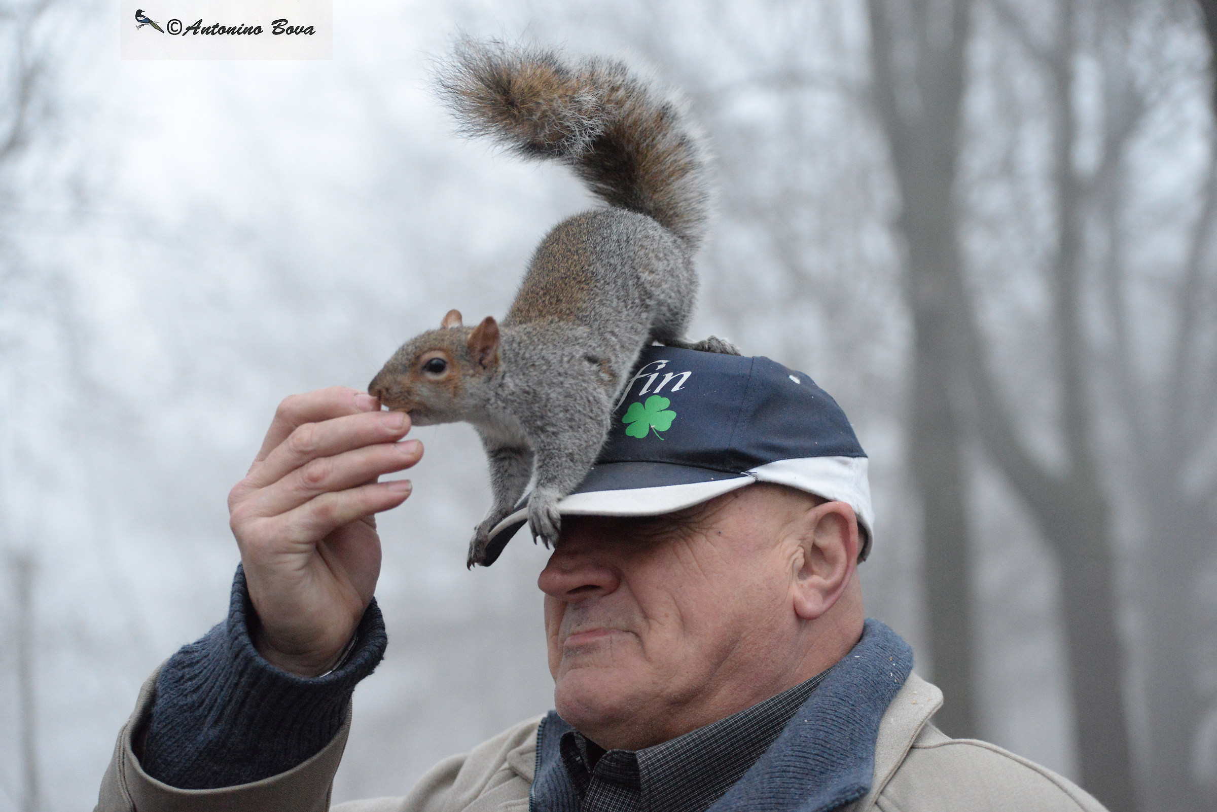 The friend of squirrels