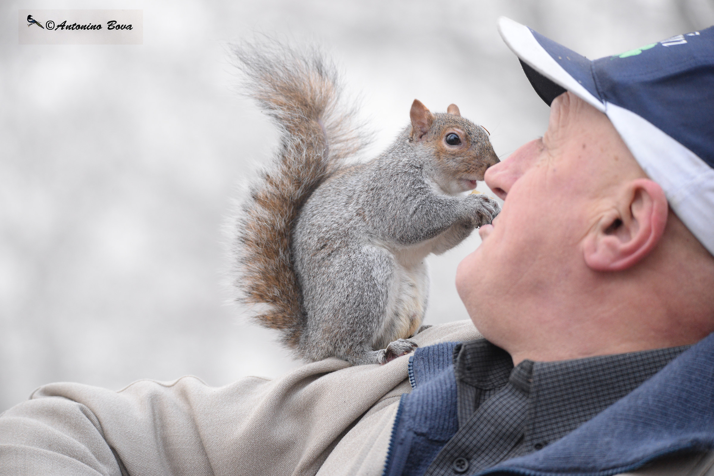 The friend of squirrels