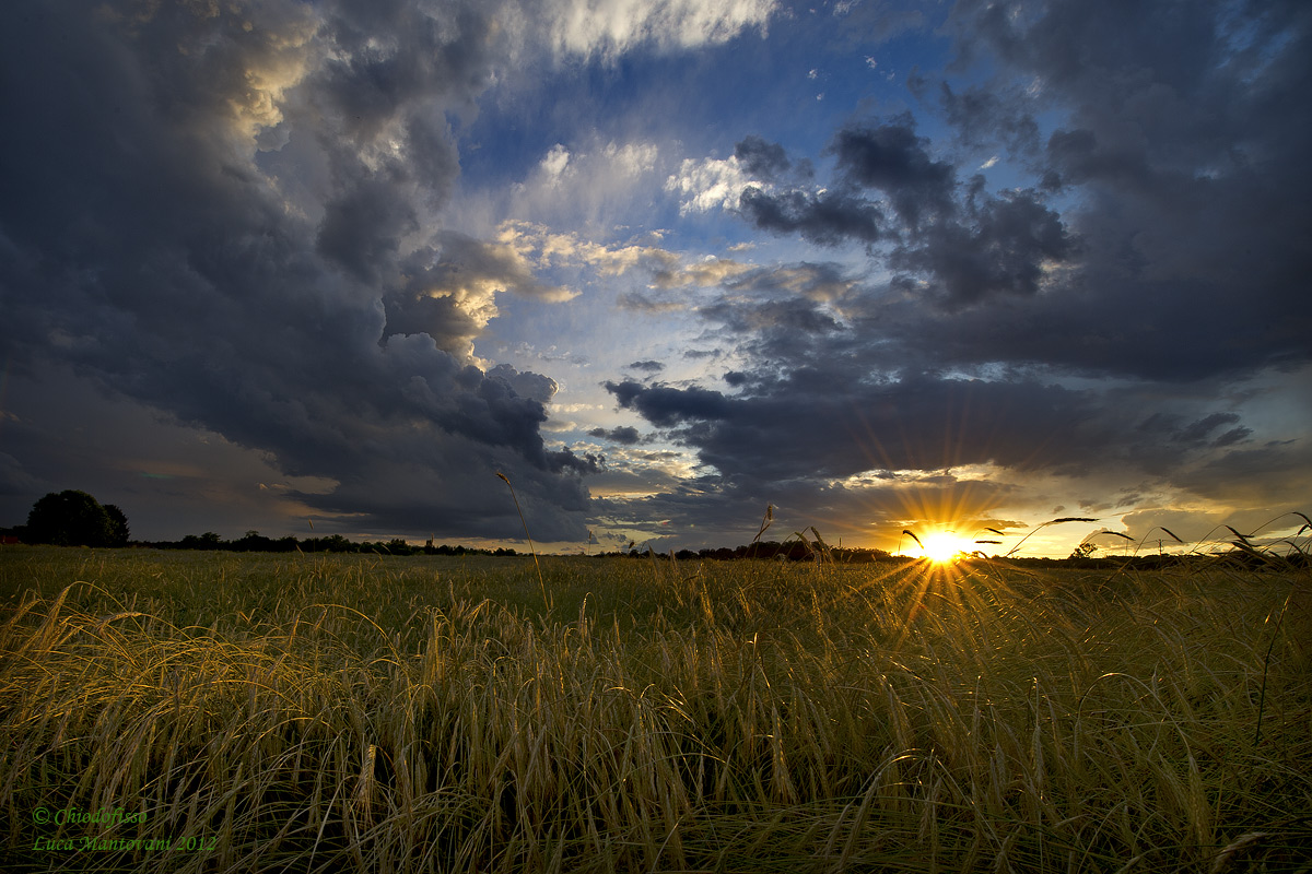 Tramonto sul campo di grano
