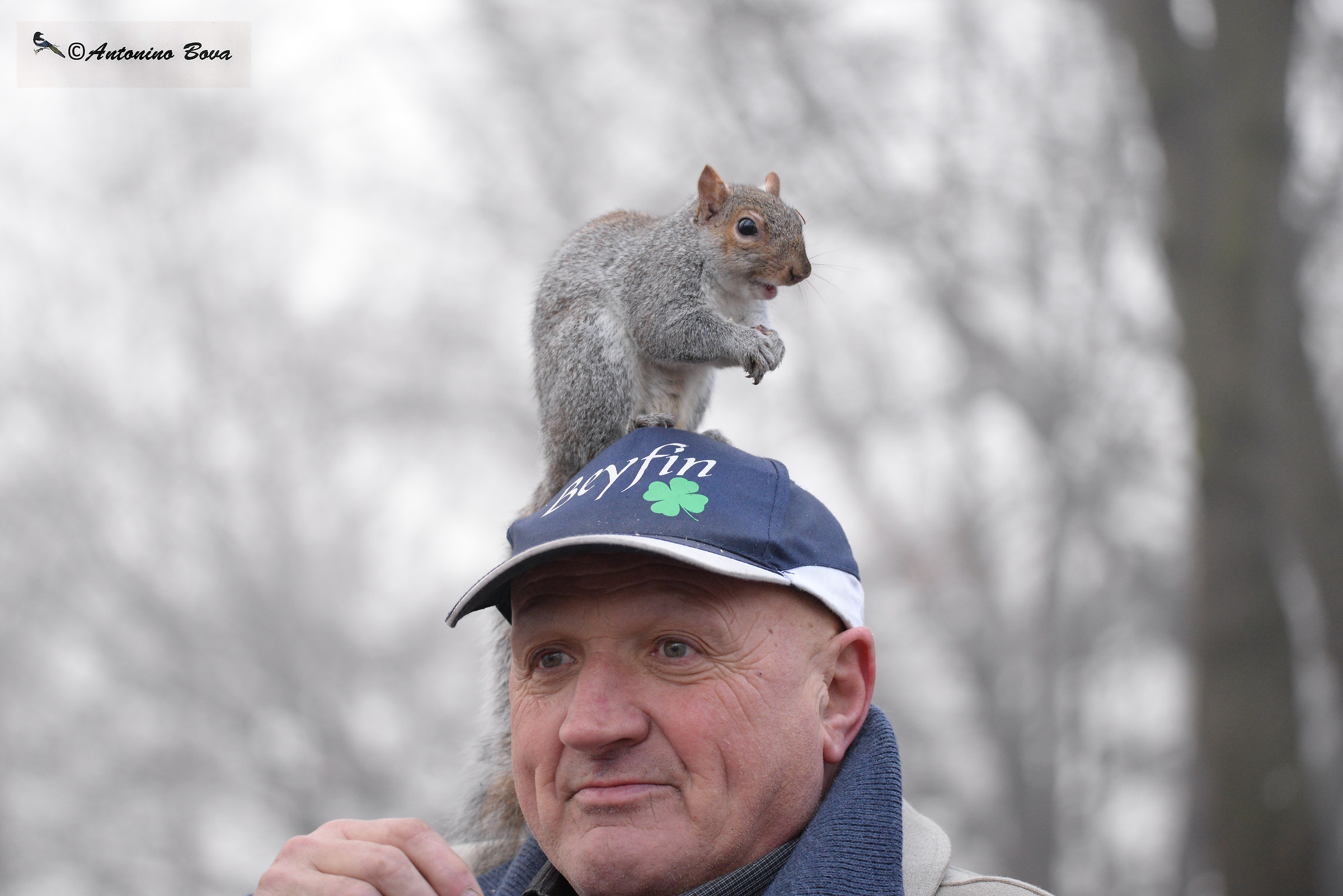 The friend of squirrels