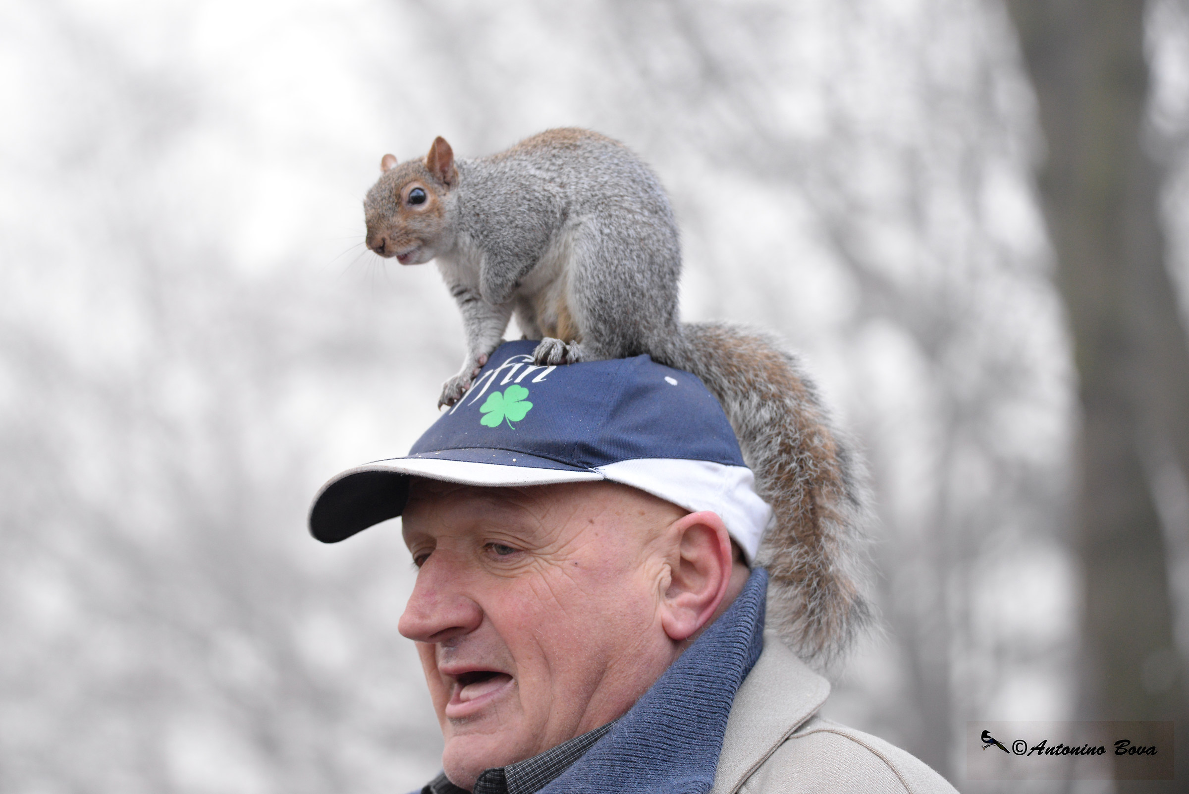 The friend of squirrels