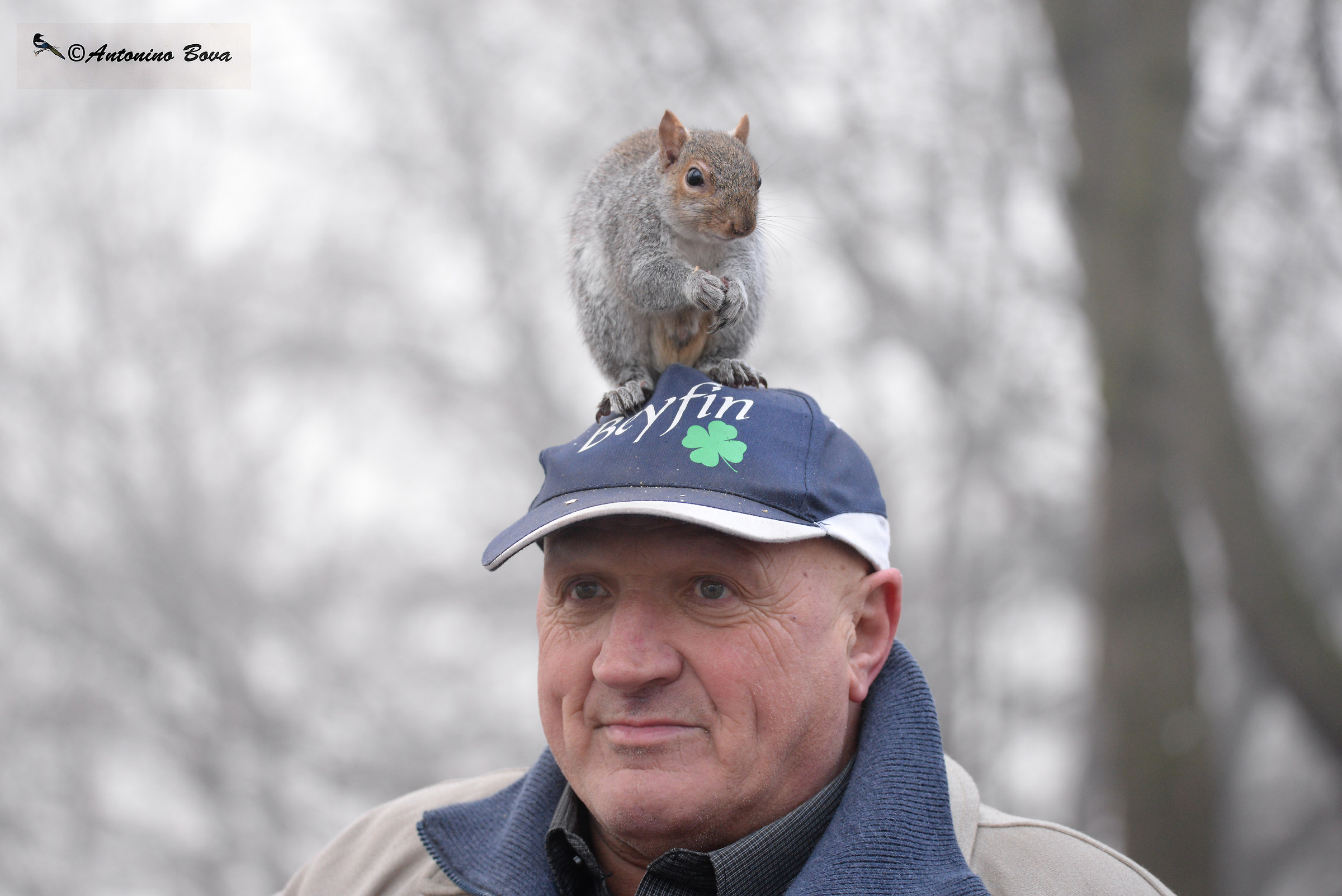 The friend of squirrels