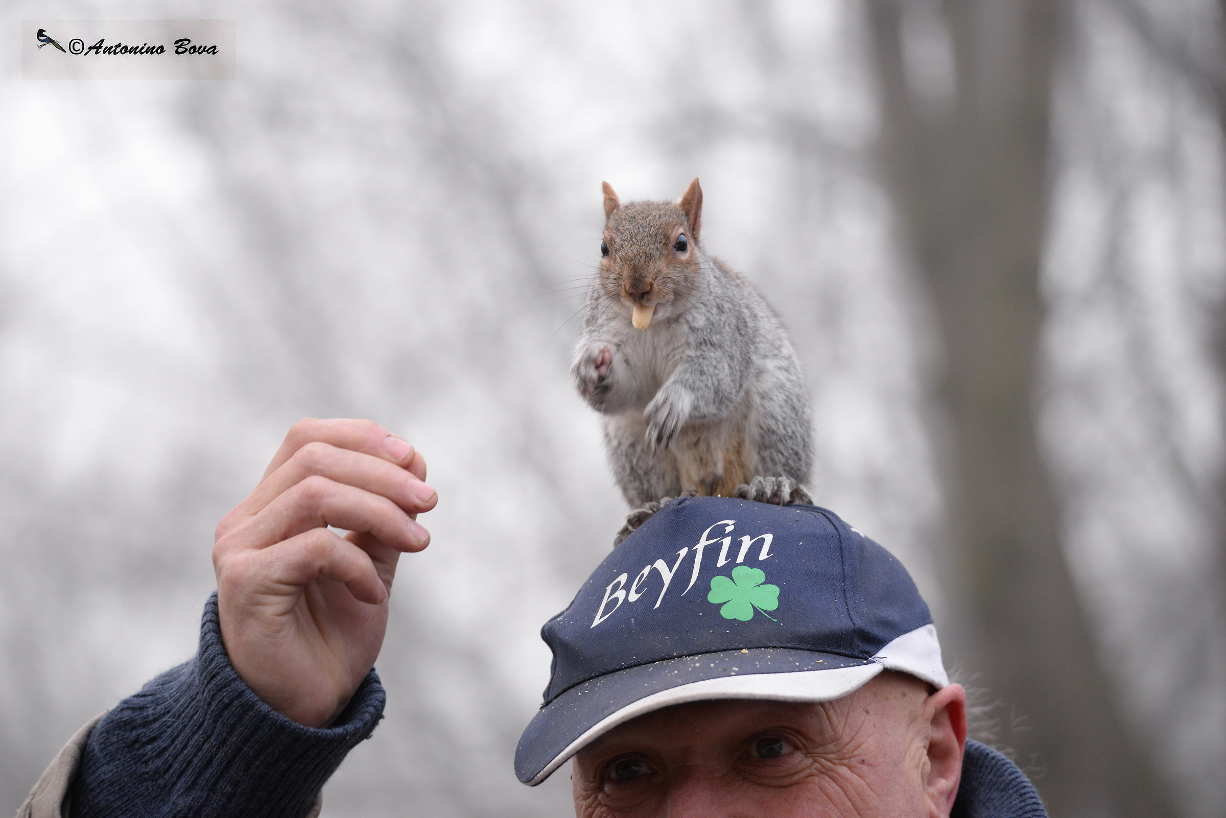 The friend of squirrels