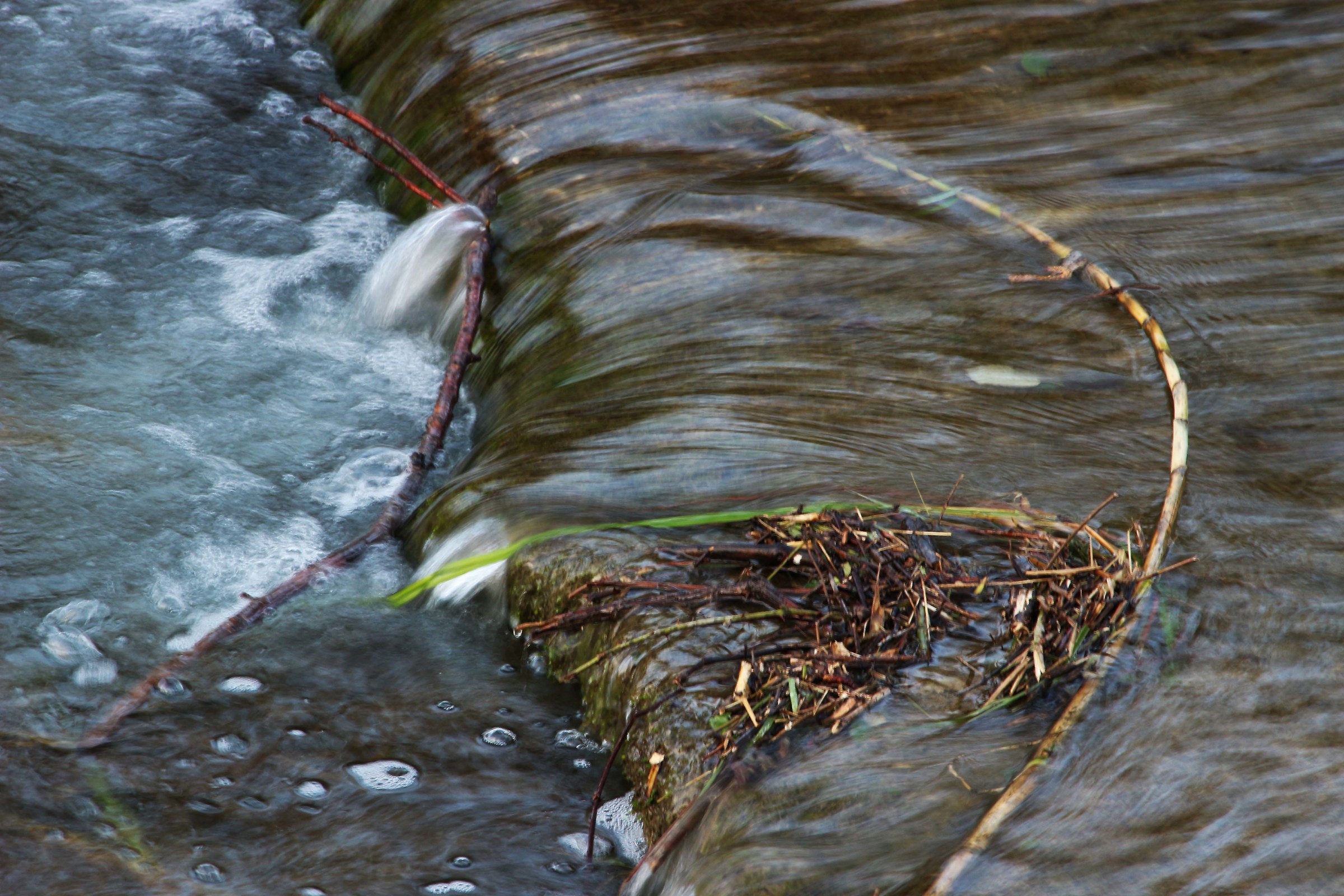 Trasportato dalla corrente