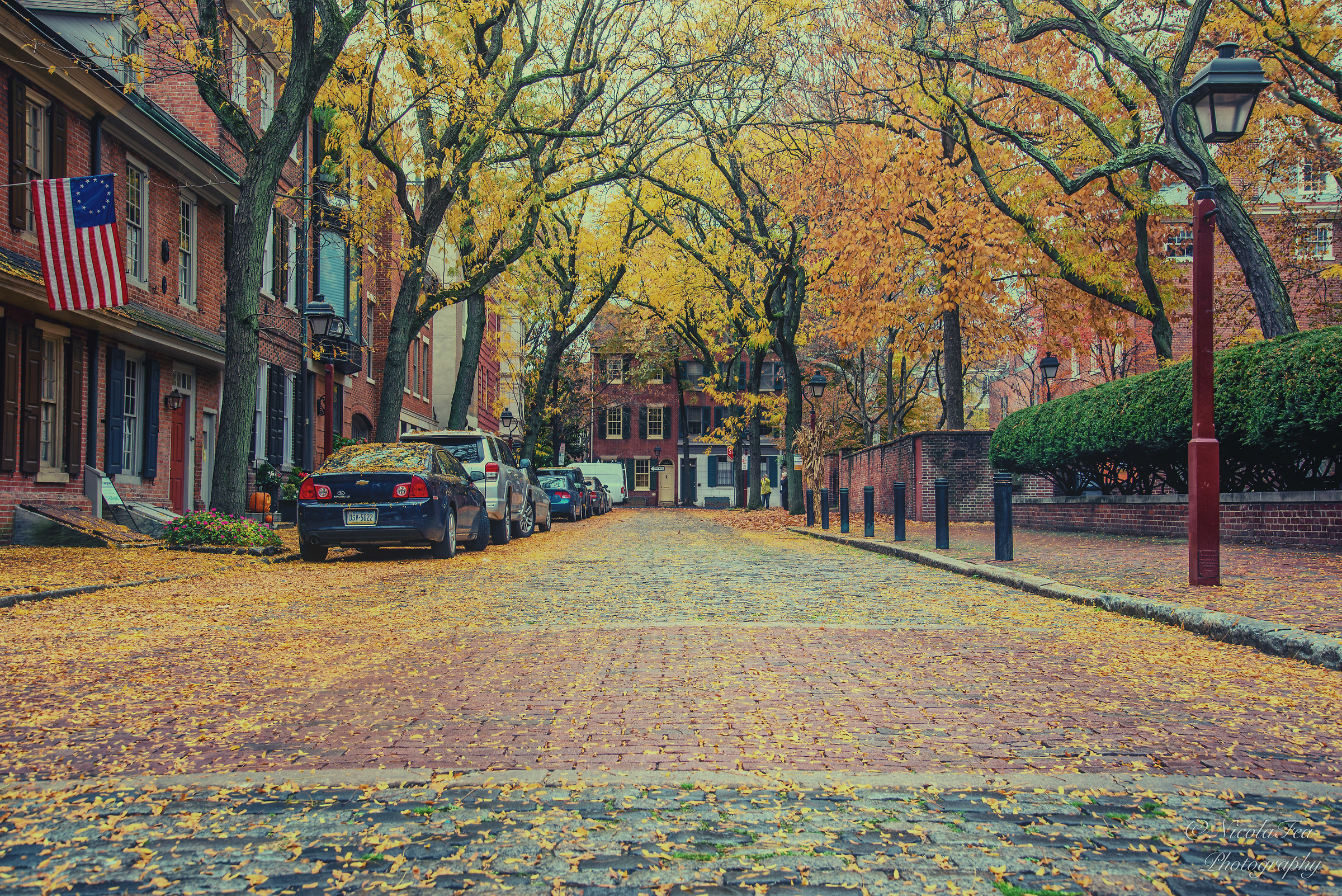 Autumn in Society Hill