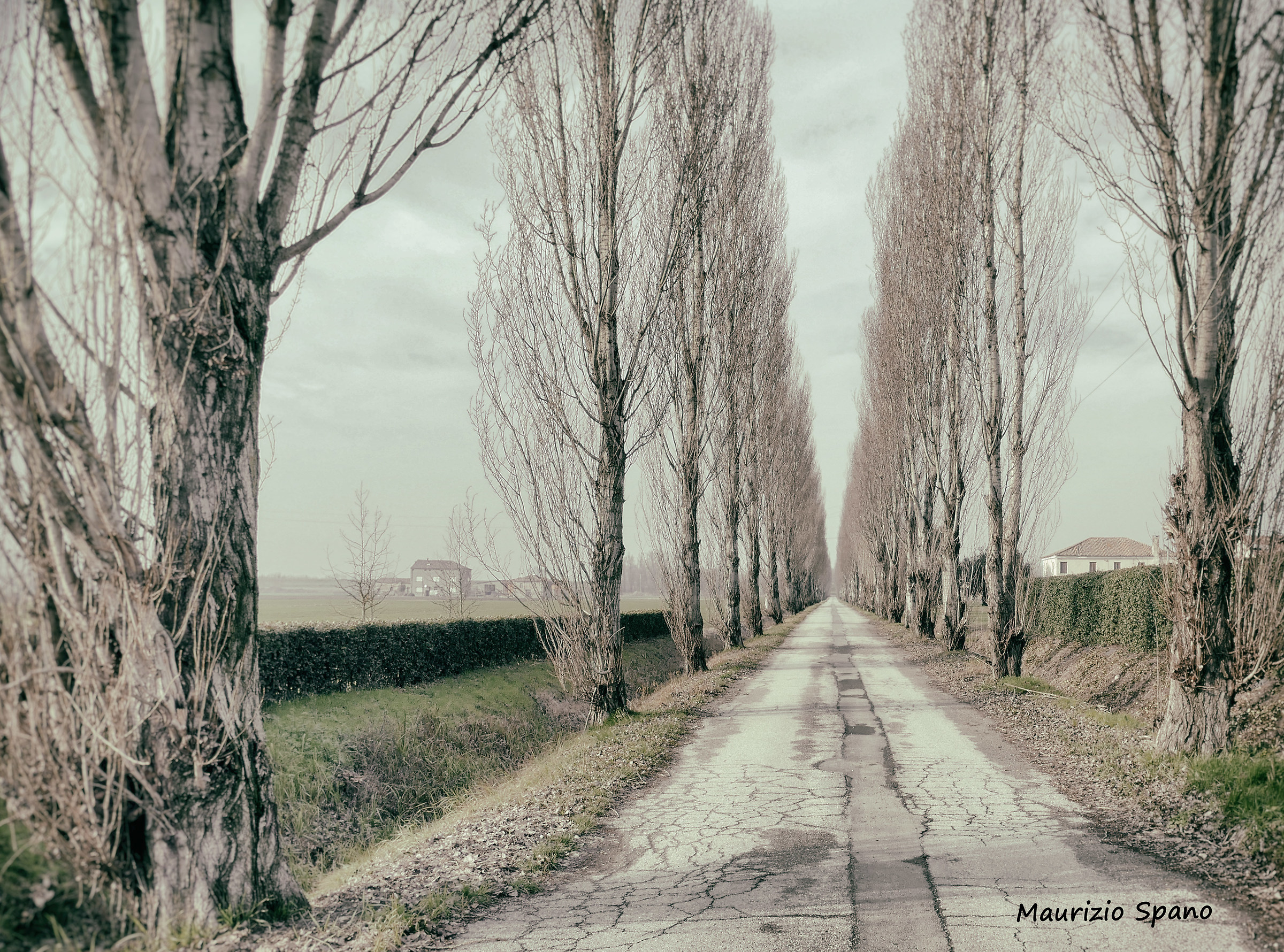 Passeggiando fra i viali del Polesine