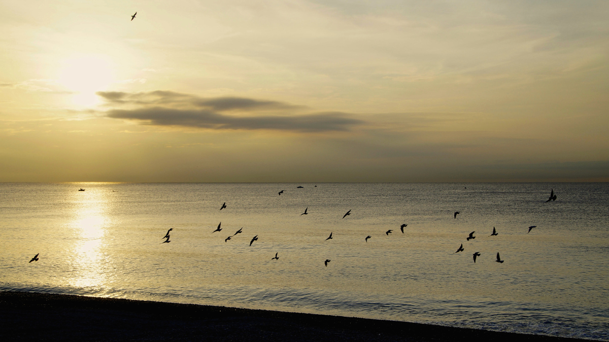 The usual contrarian