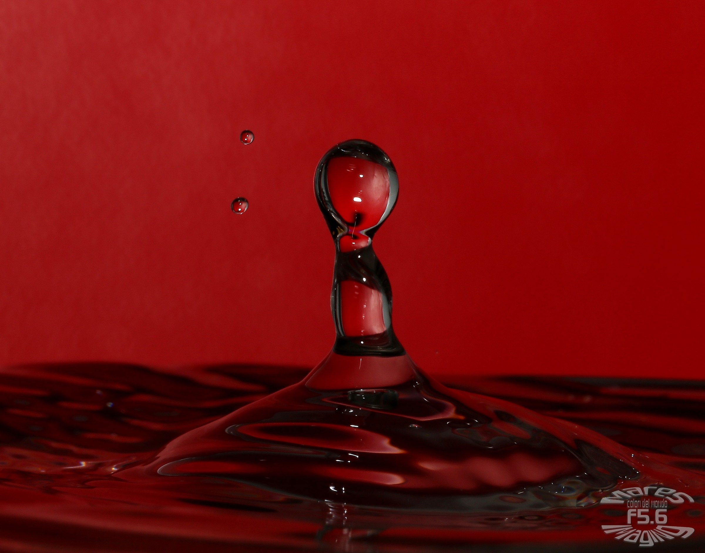 Pallina e le sue sorelline