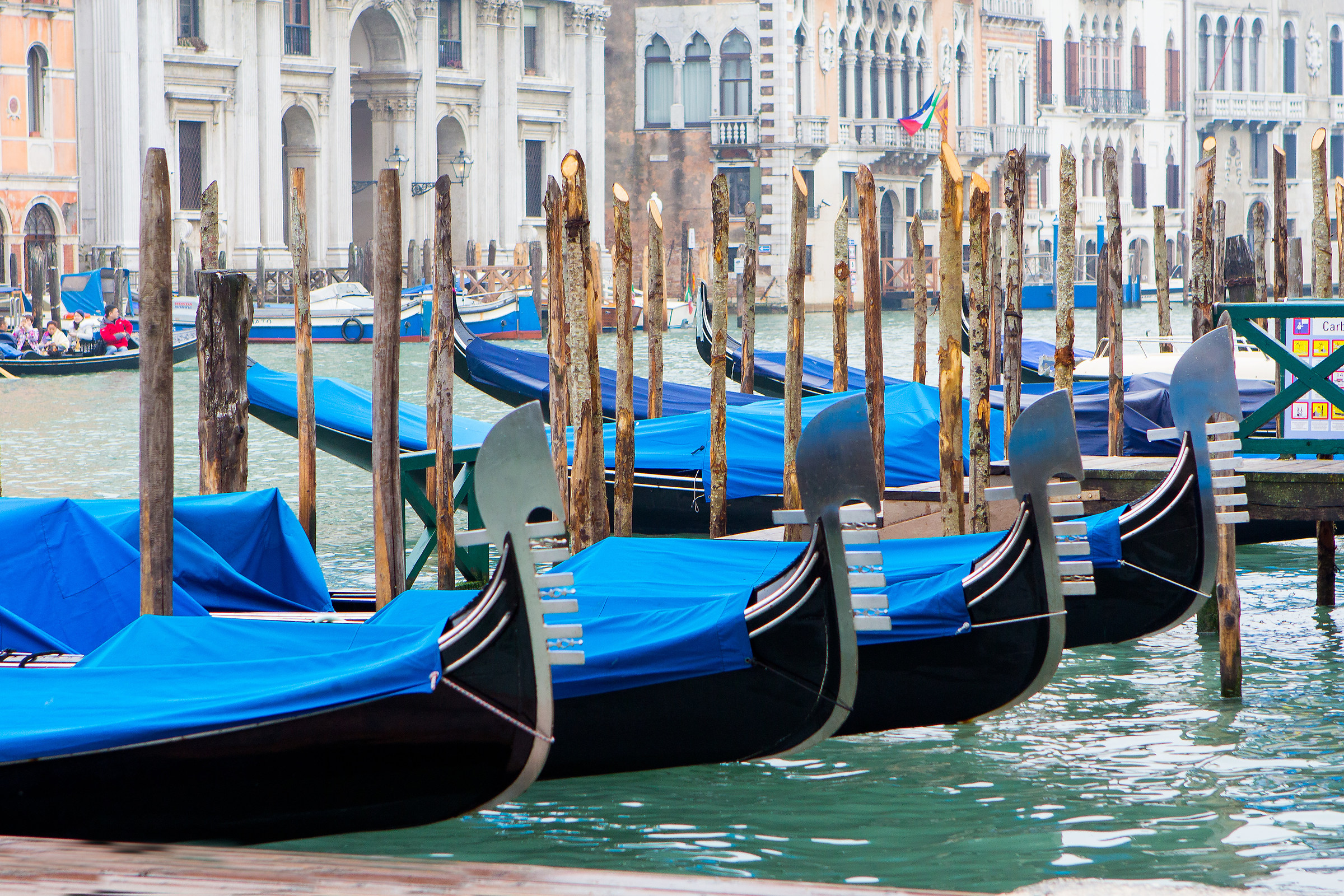 Gondolas on the Grand Canal